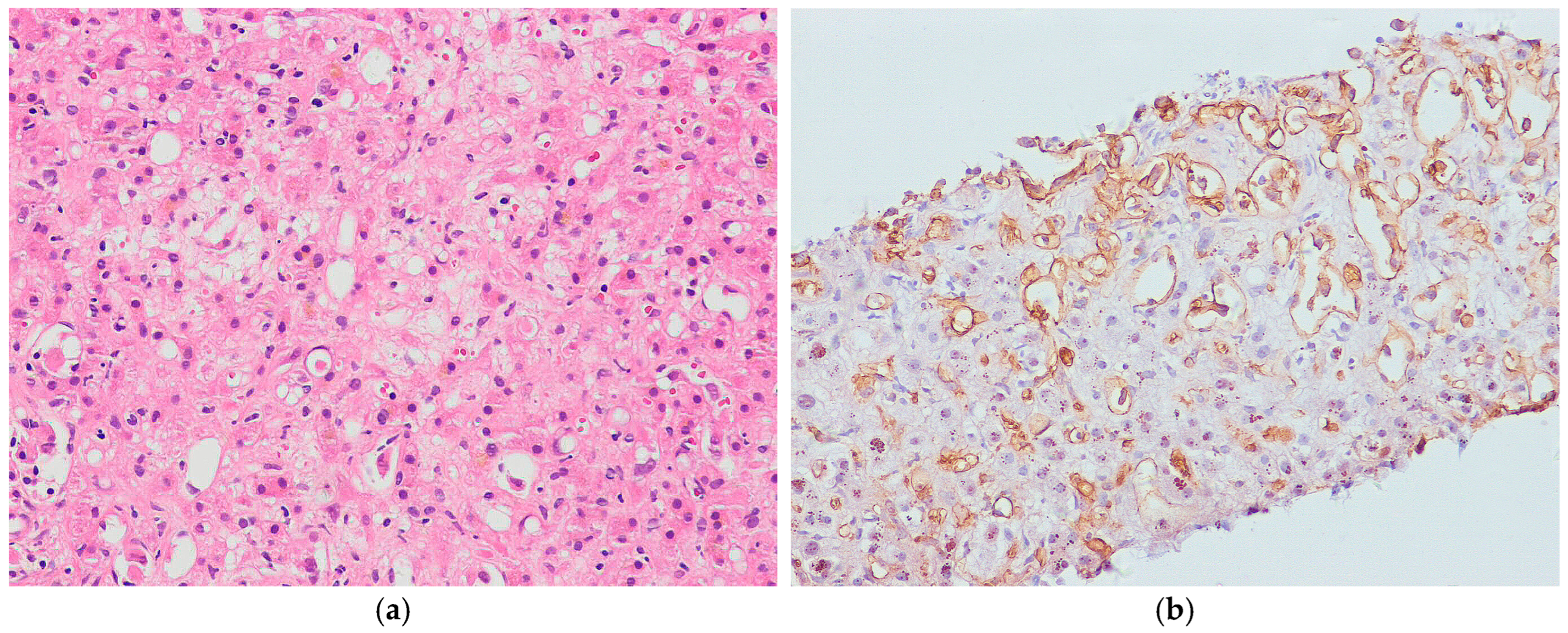 Biomedicines 13 00479 g003