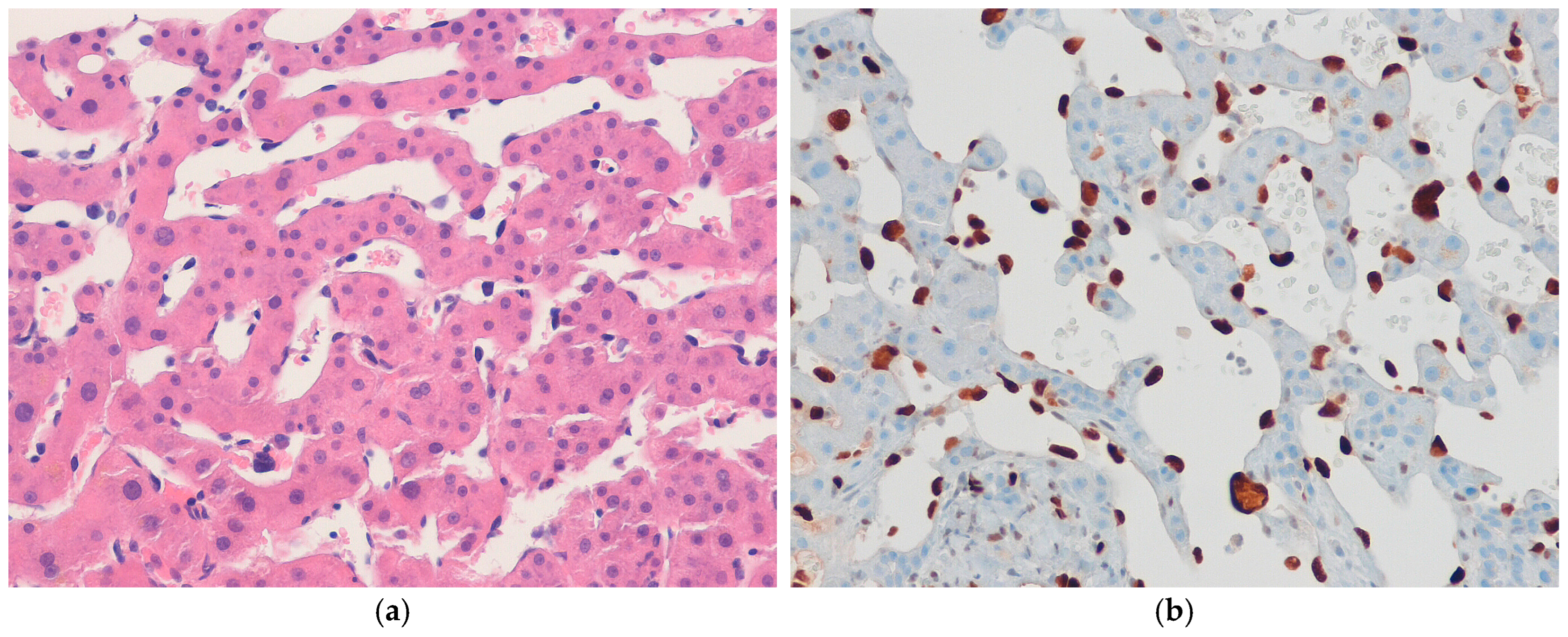 Biomedicines 13 00479 g005