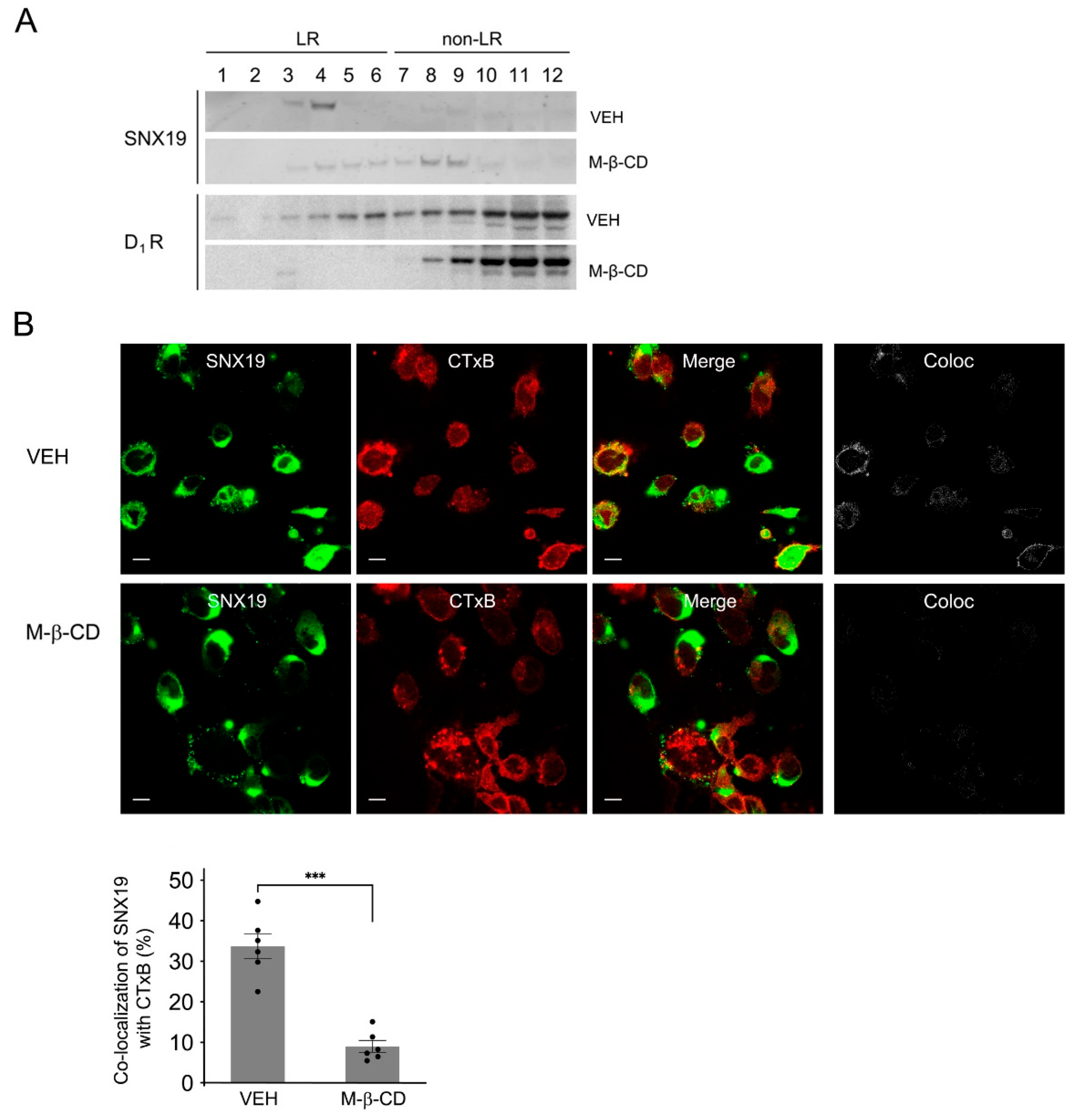 Biomedicines 13 00481 g001