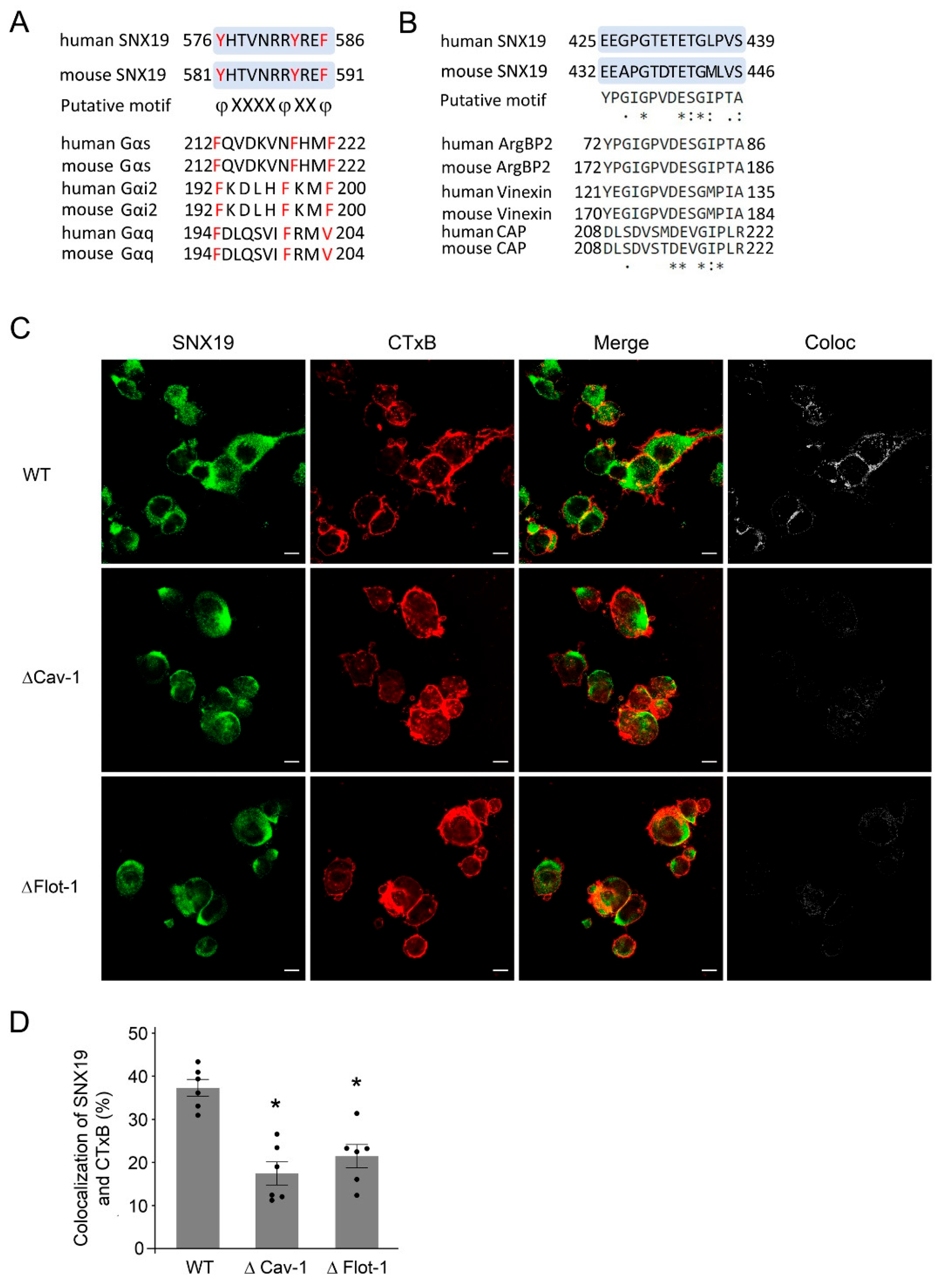 Biomedicines 13 00481 g004