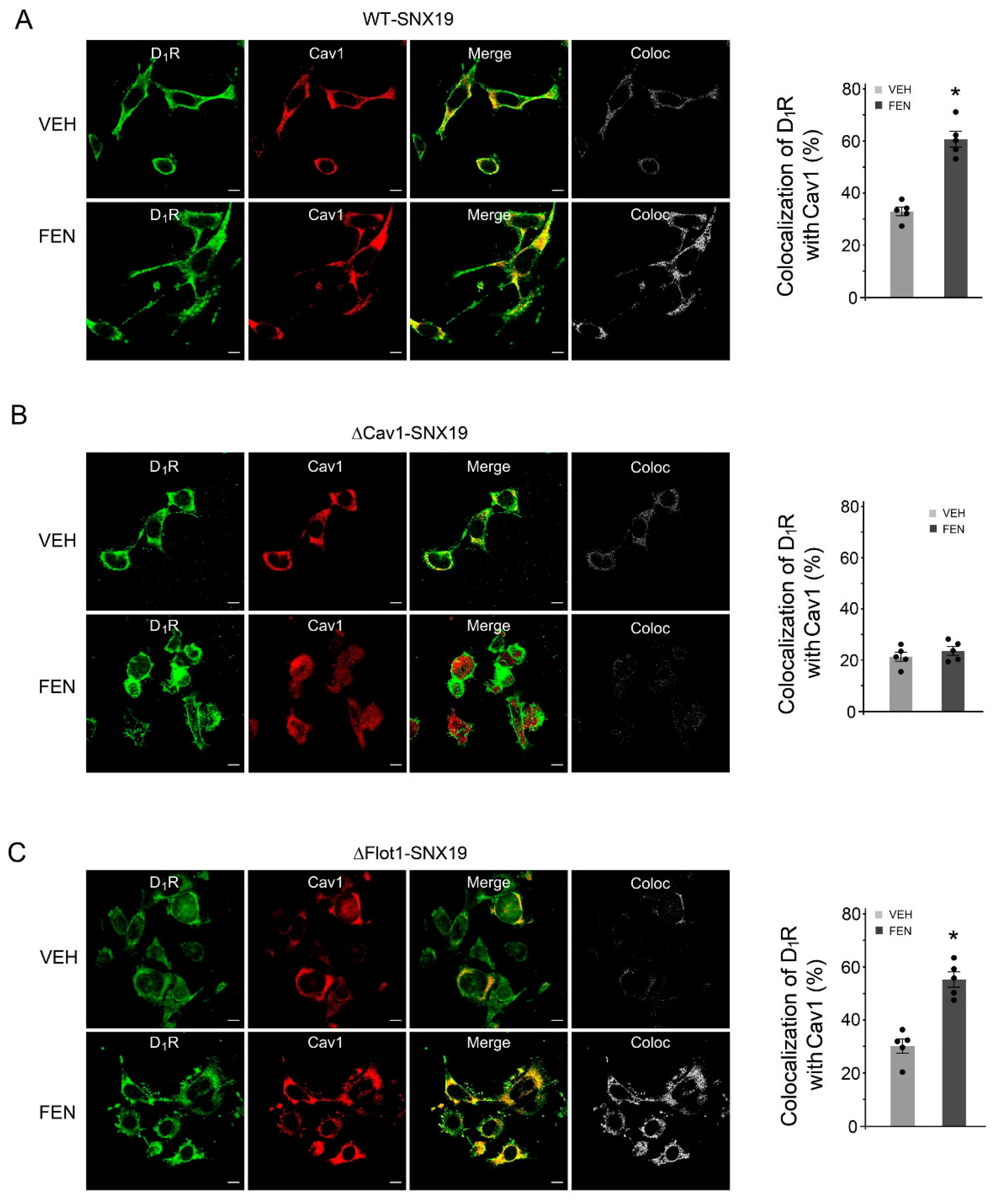 Biomedicines 13 00481 g006