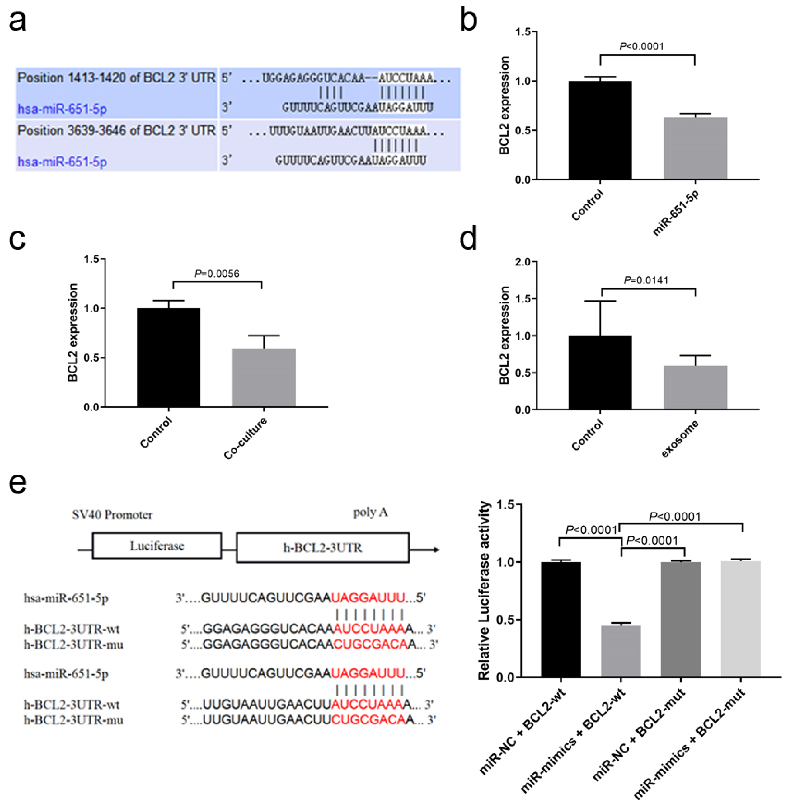 Biomedicines 13 00482 g005
