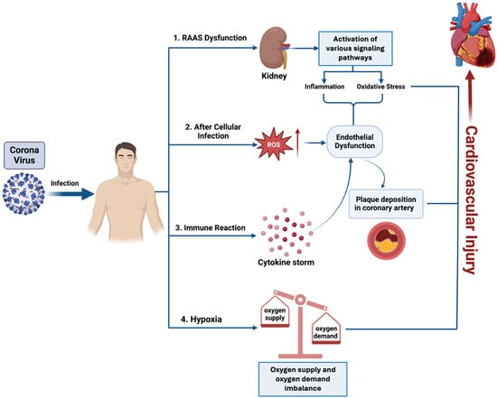 Biomedicines 13 00485 g001
