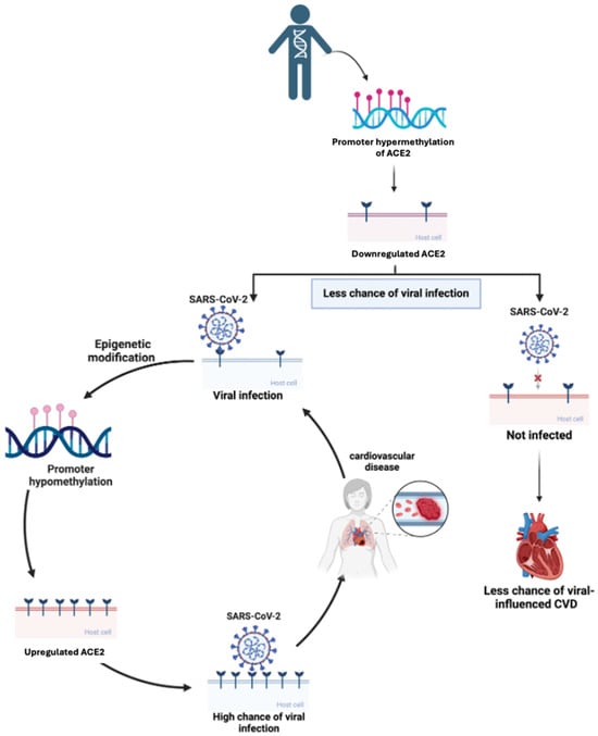 Biomedicines 13 00485 g002