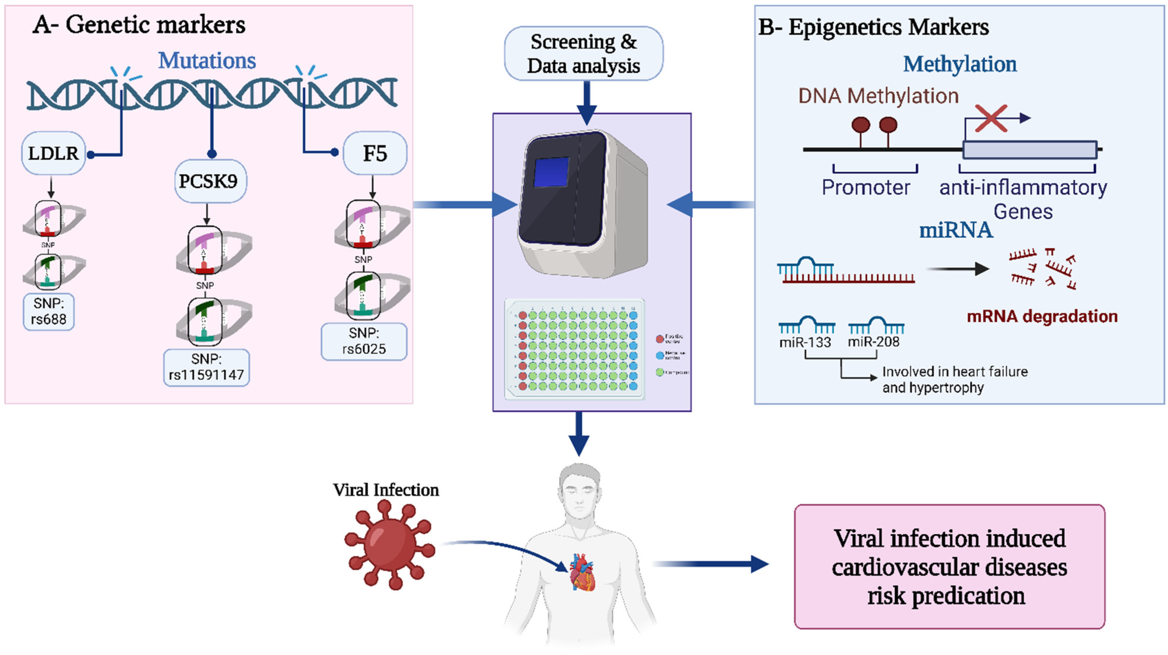Biomedicines 13 00485 g004