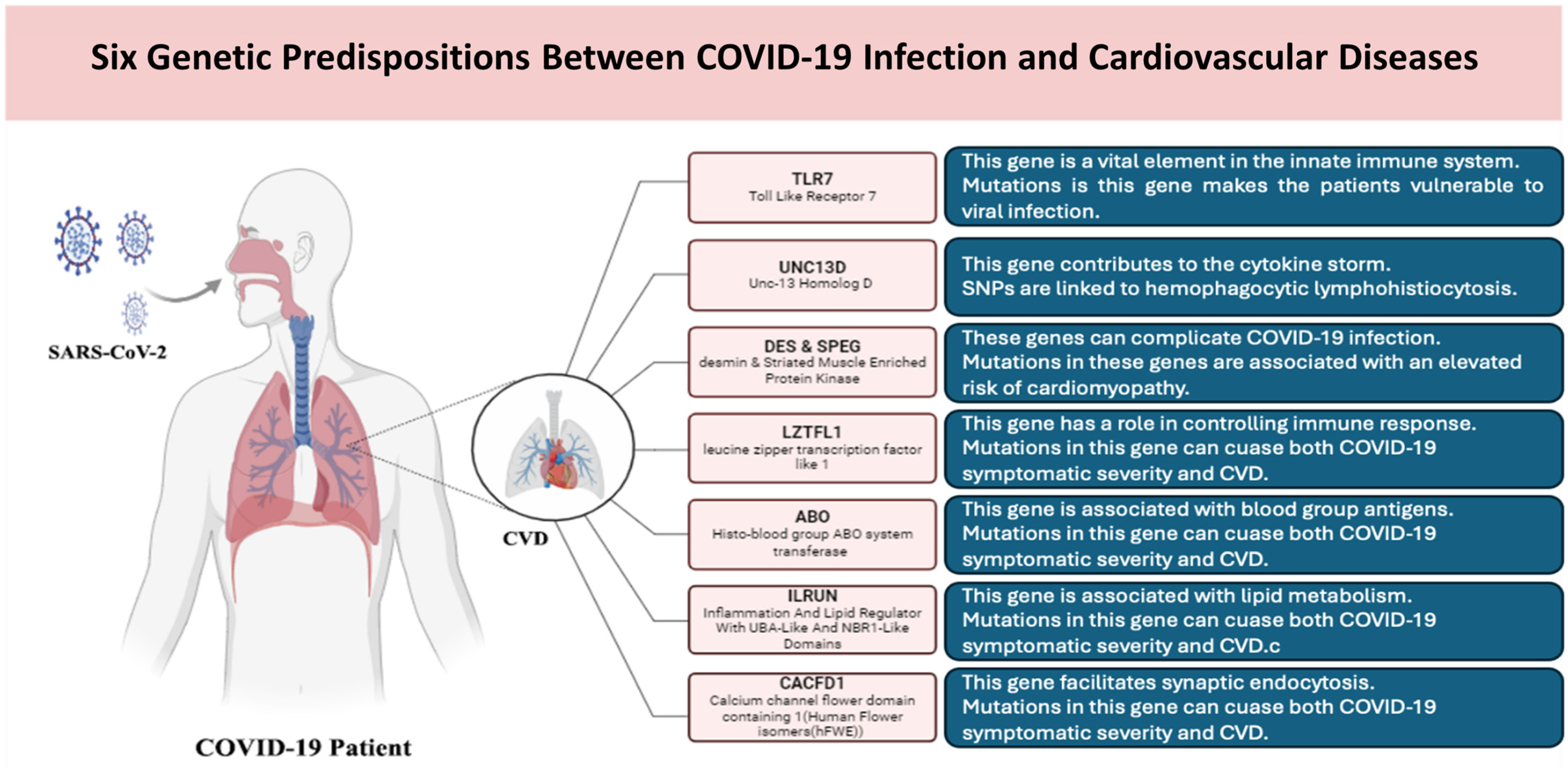 Biomedicines 13 00485 g005