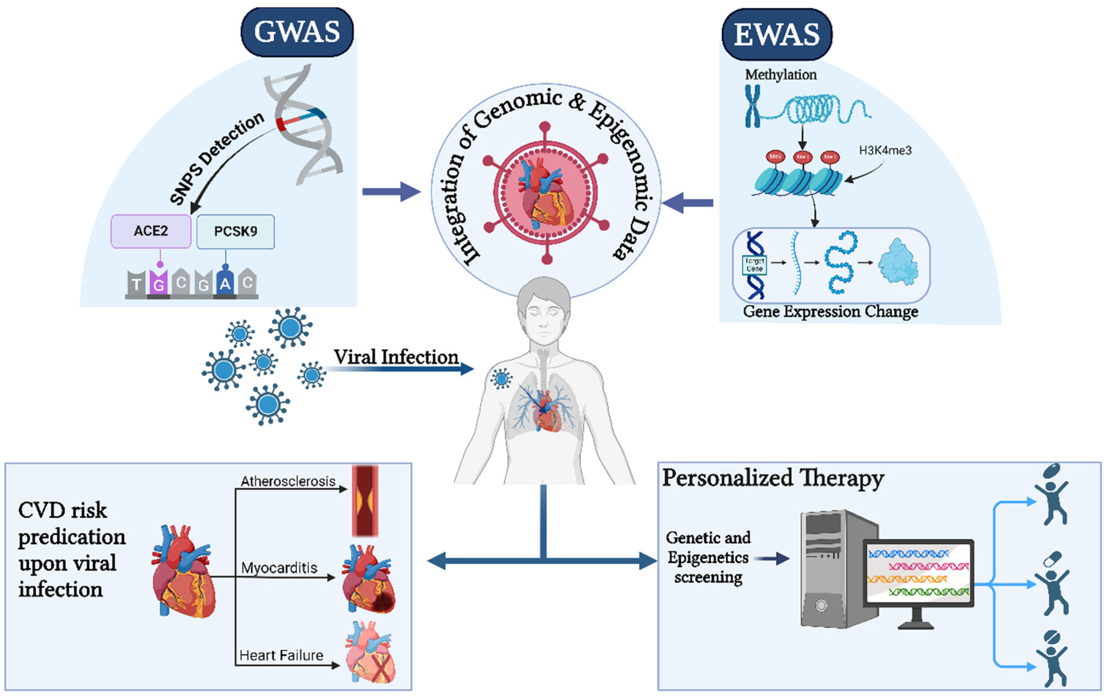 Biomedicines 13 00485 g006