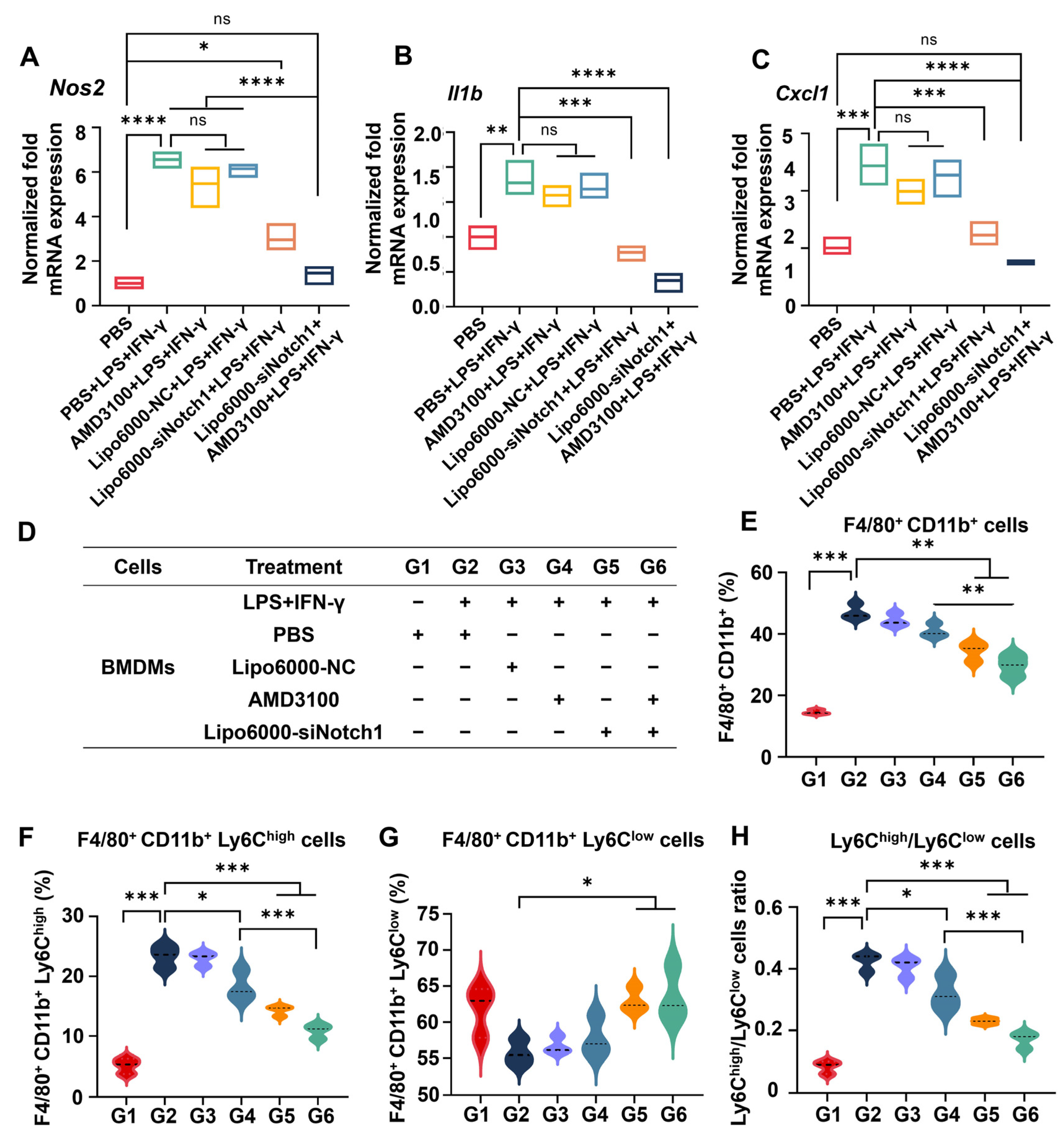 Biomedicines 13 00486 g001