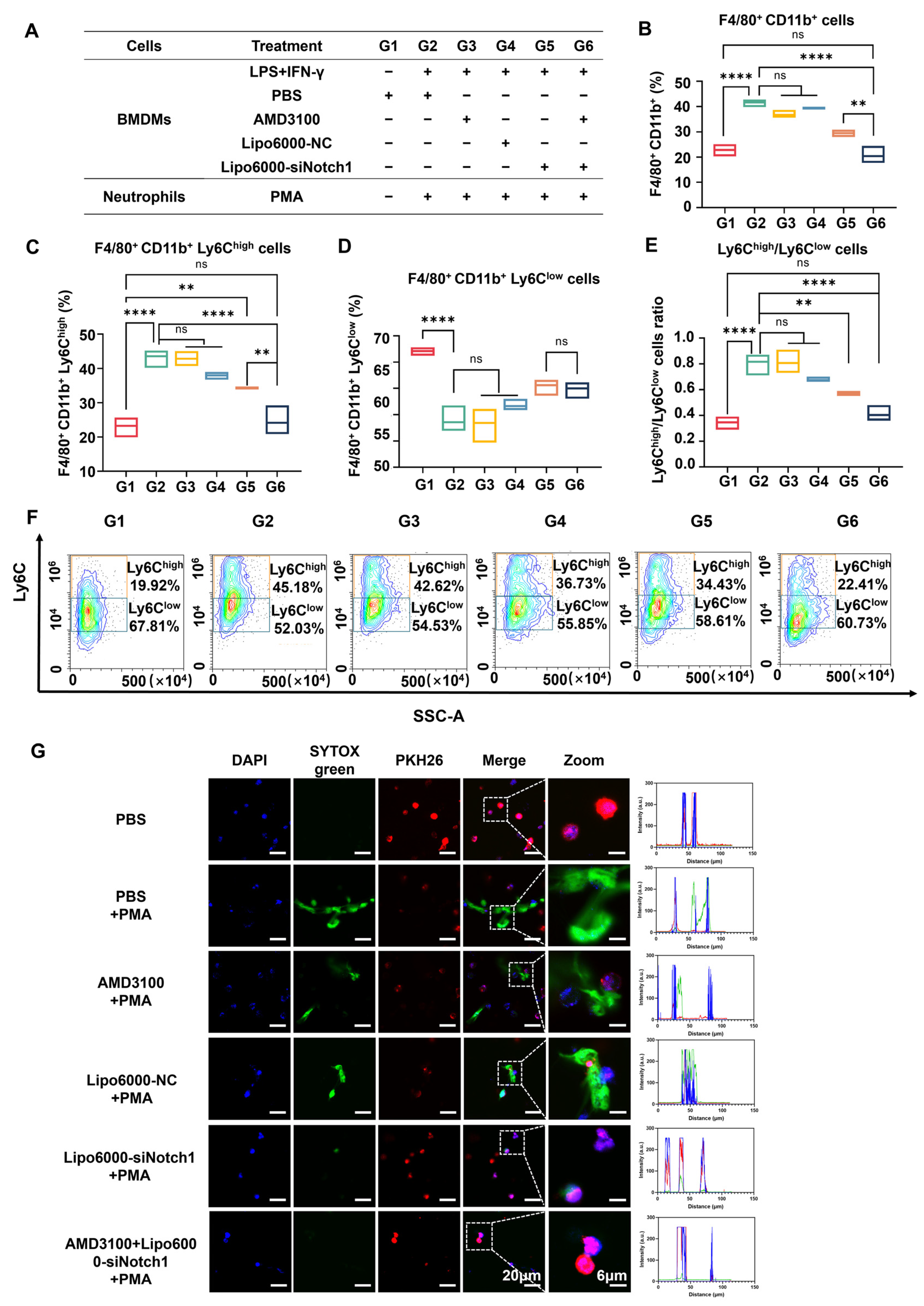 Biomedicines 13 00486 g002