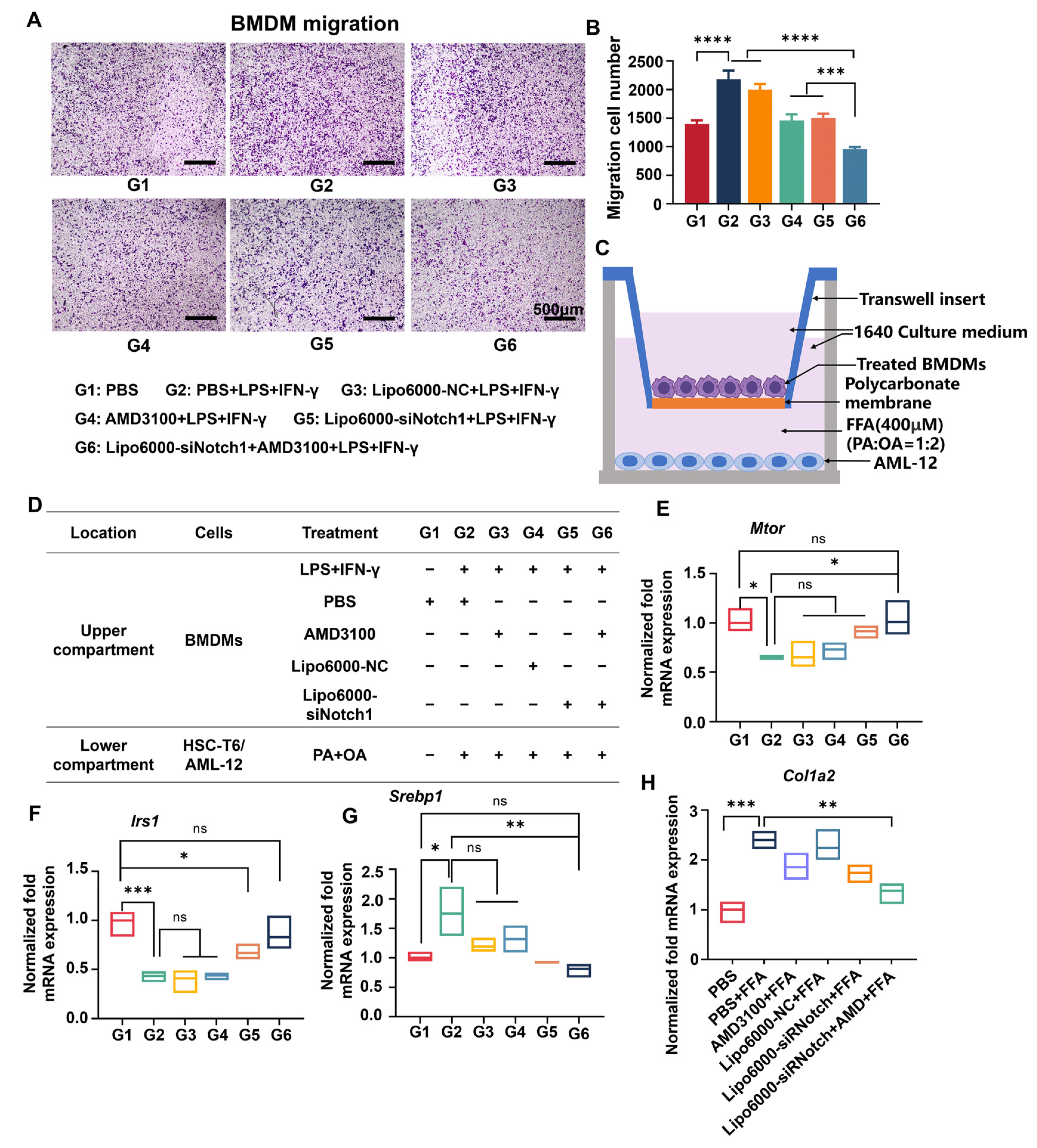 Biomedicines 13 00486 g003
