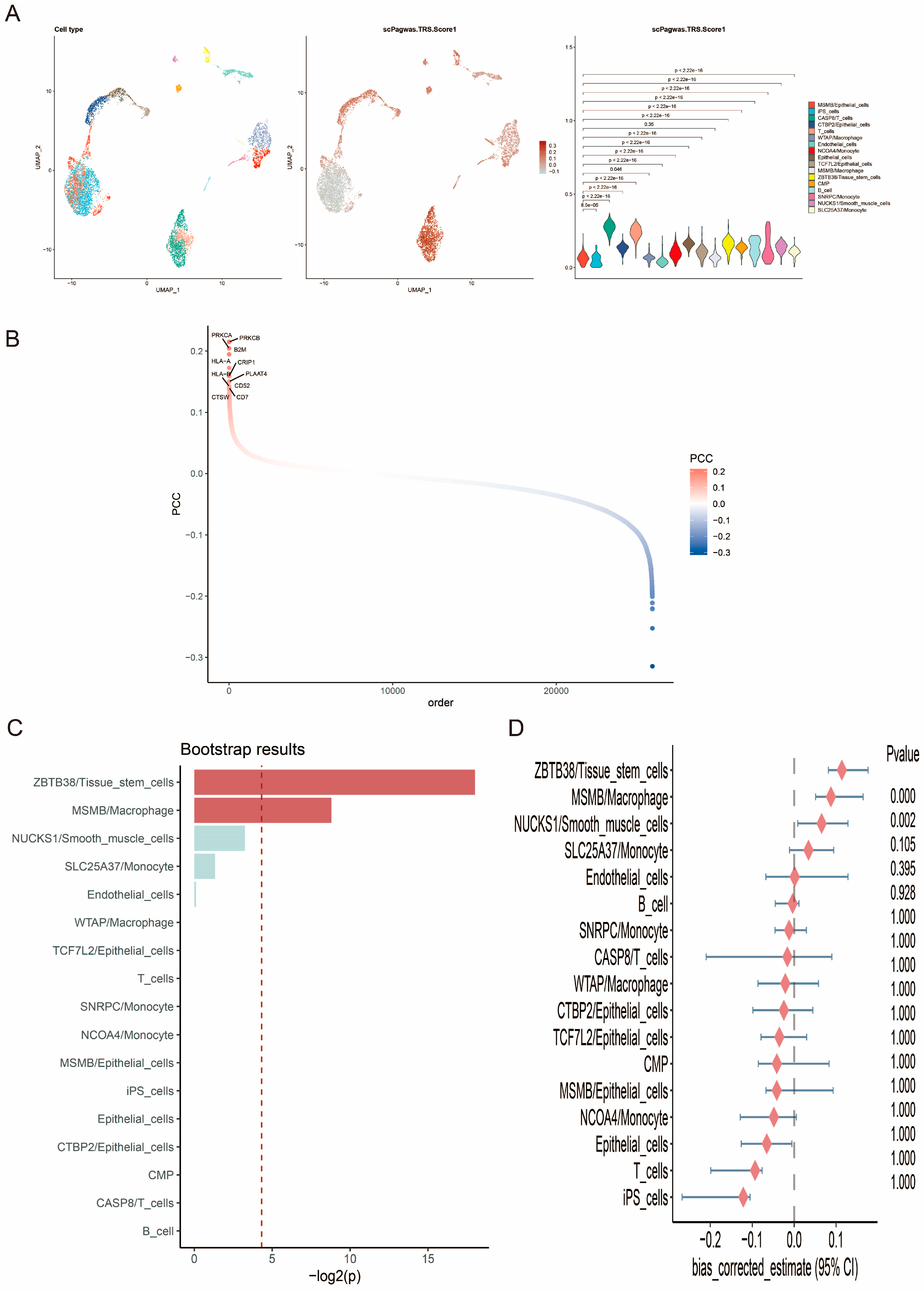 Biomedicines 13 00487 g003