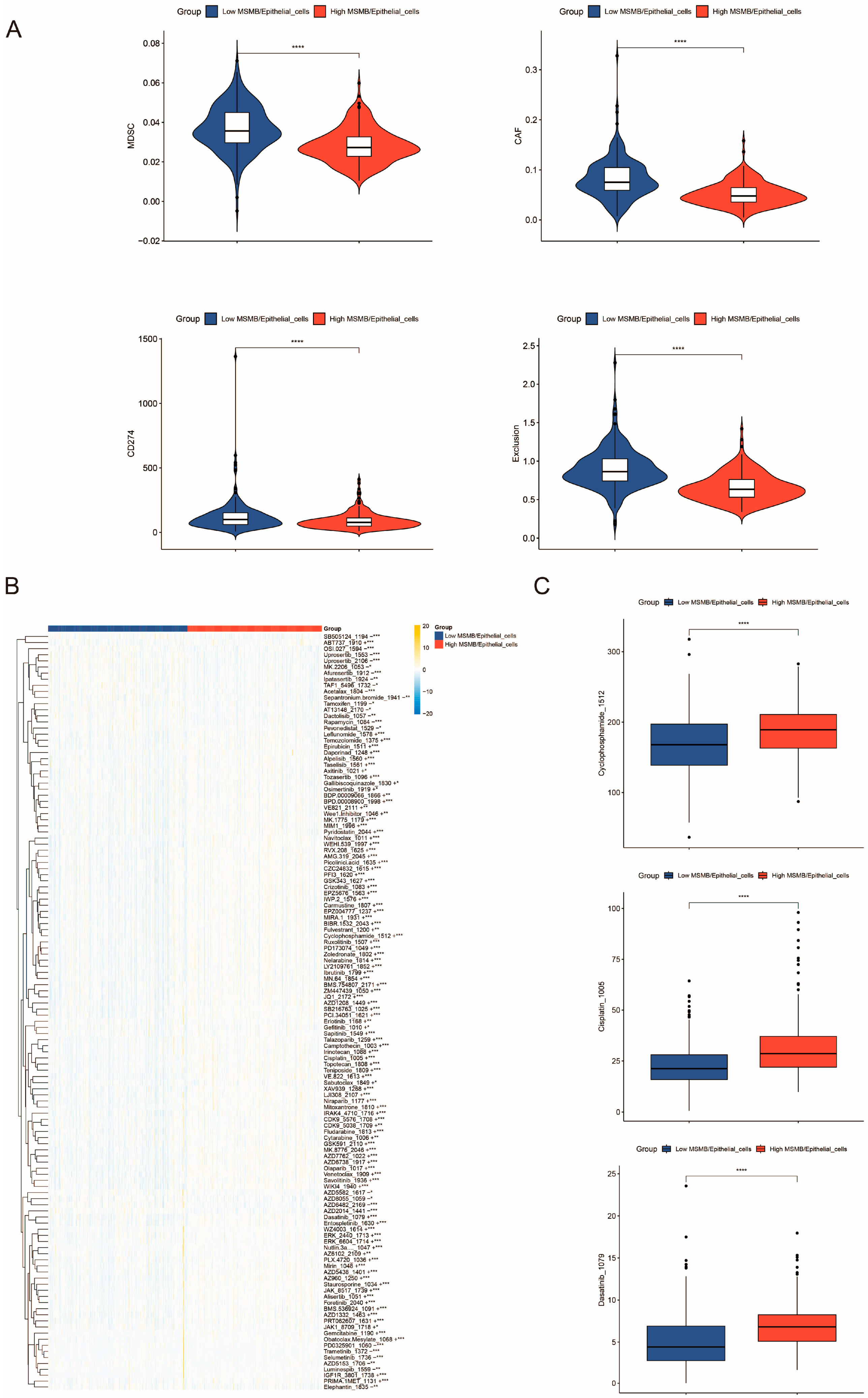Biomedicines 13 00487 g007