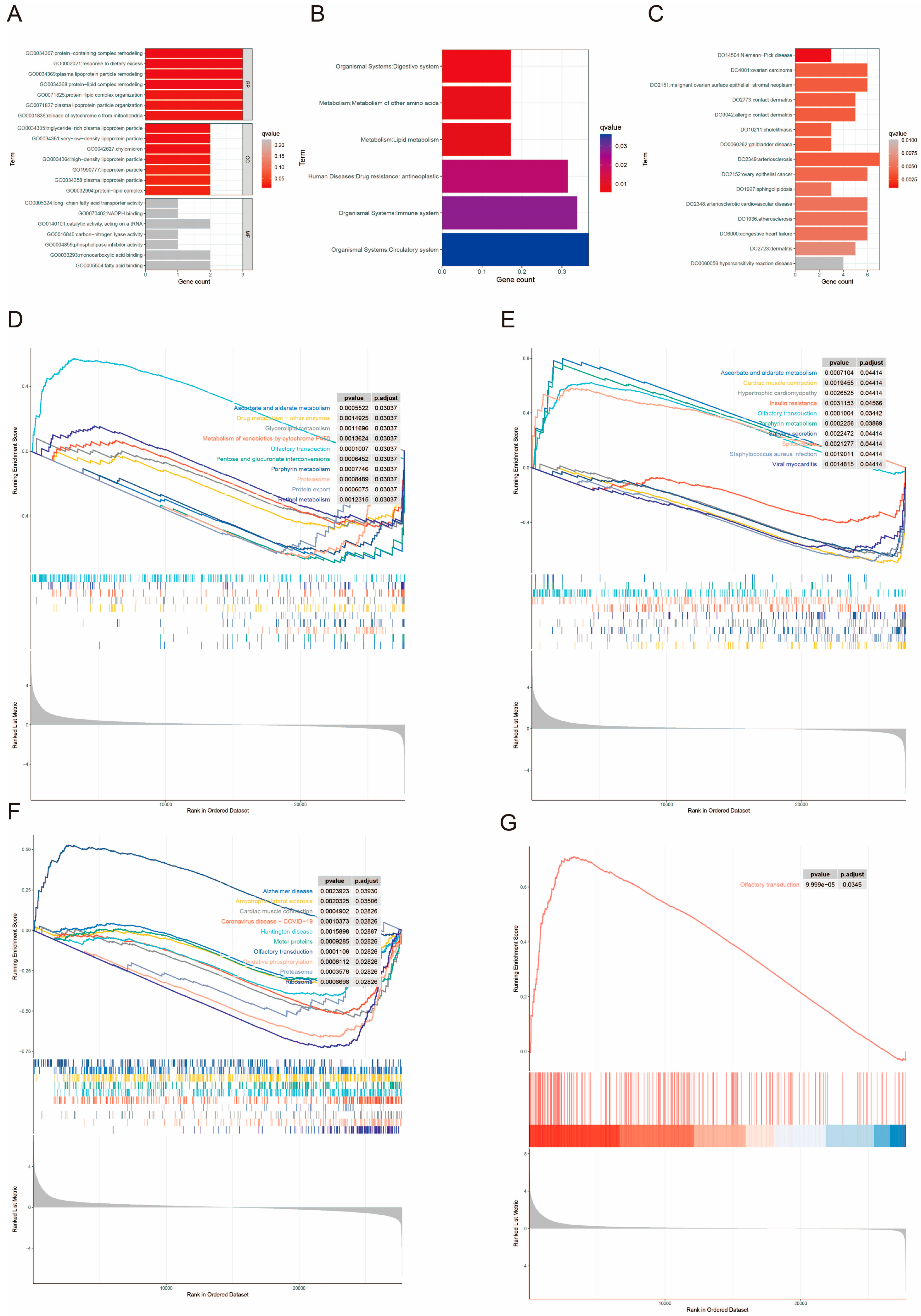 Biomedicines 13 00487 g011