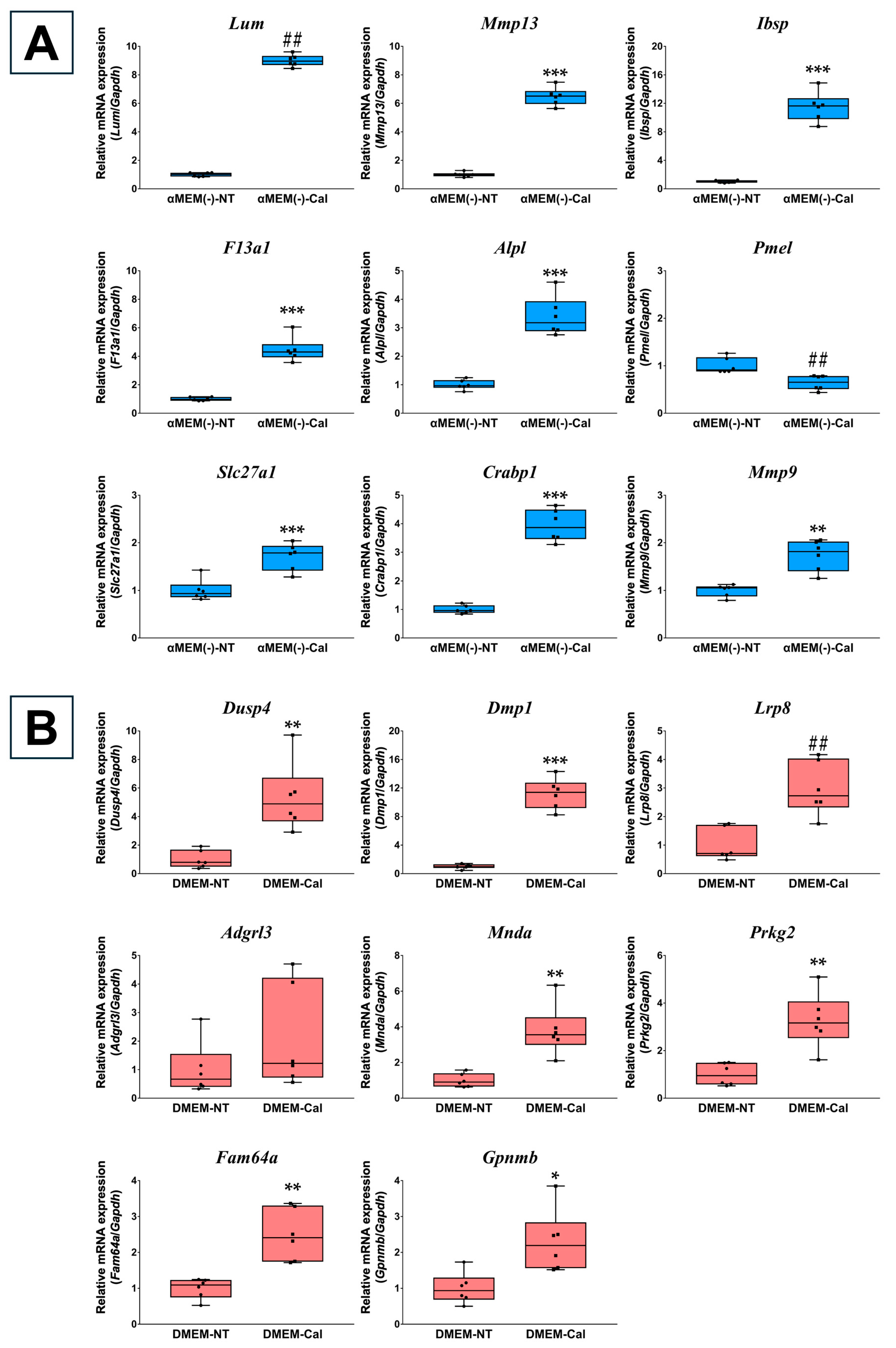 Biomedicines 13 00489 g002