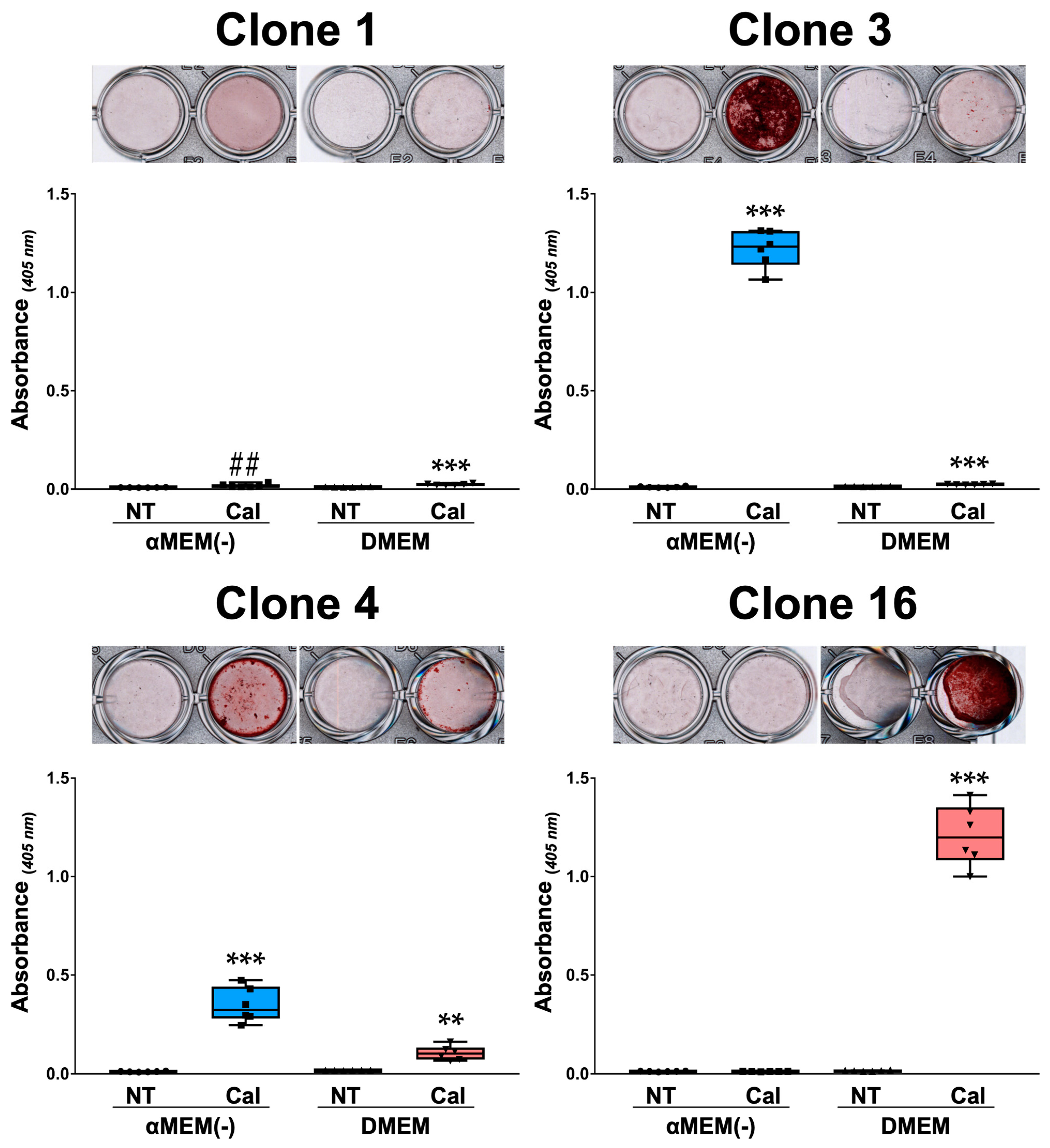 Biomedicines 13 00489 g004