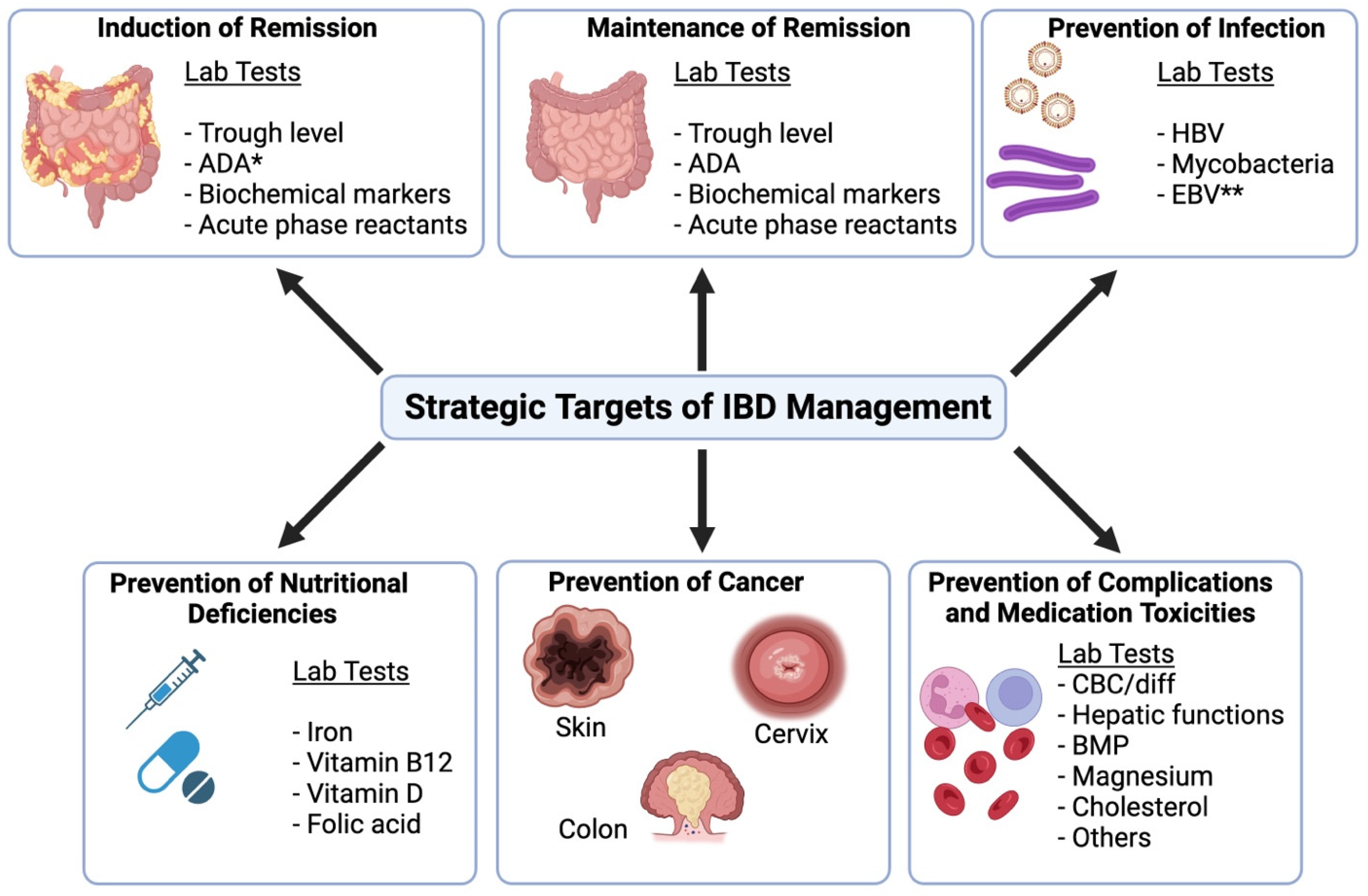 Biomedicines 13 00491 g001
