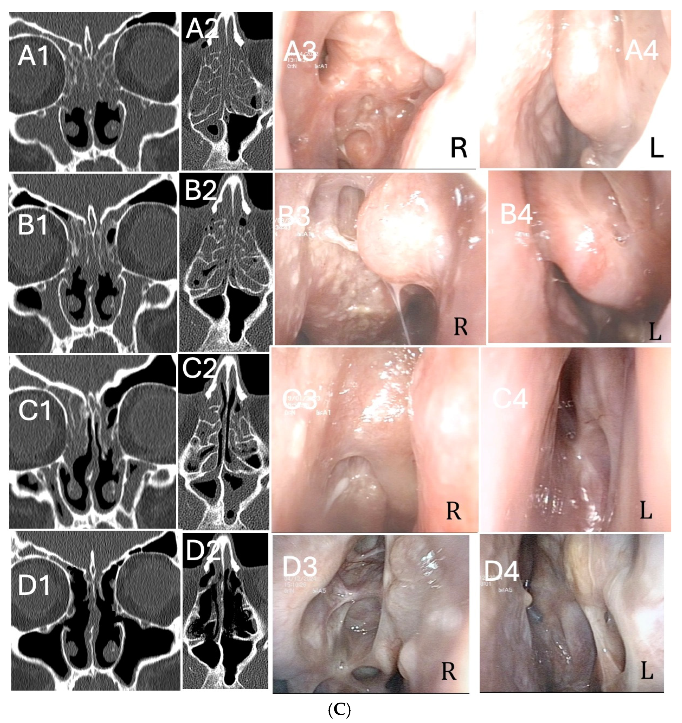 Biomedicines 13 00501 g003c