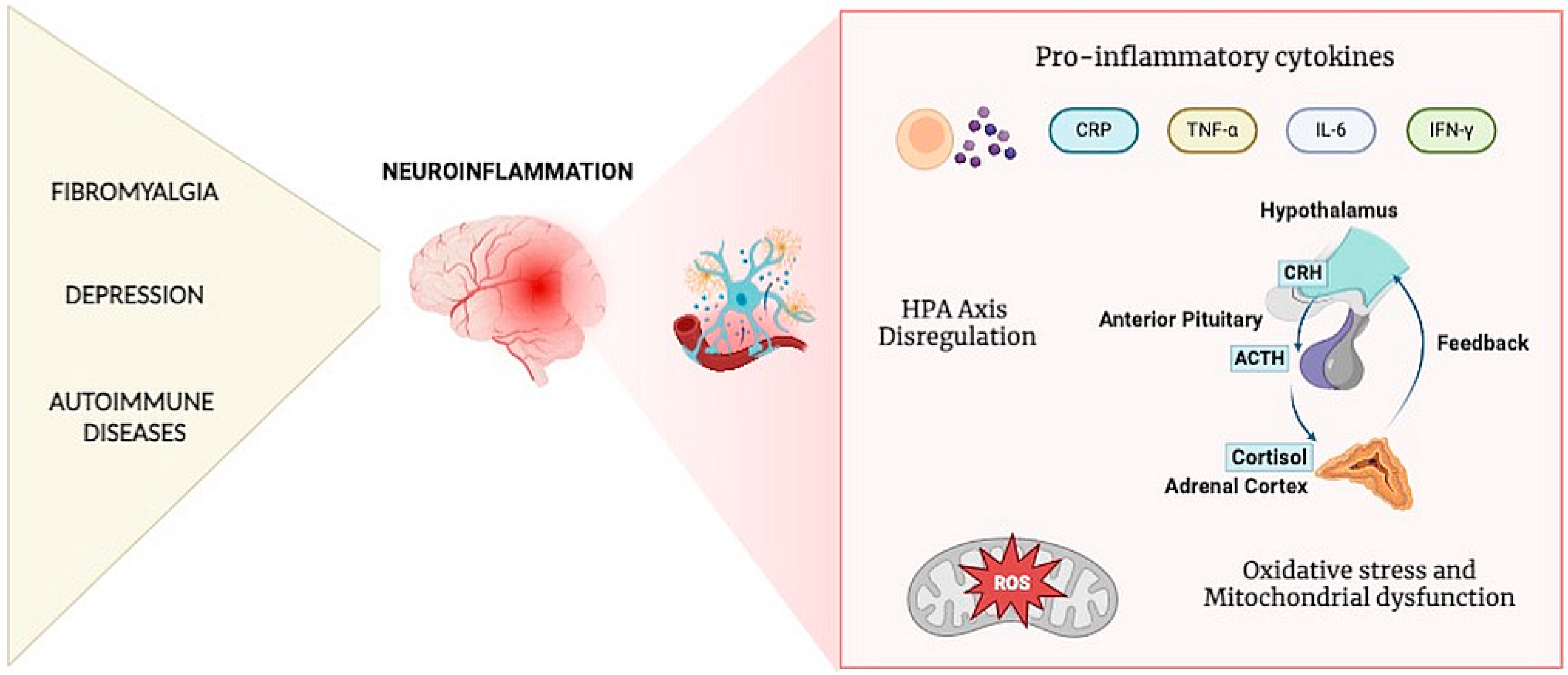 Biomedicines 13 00503 g002