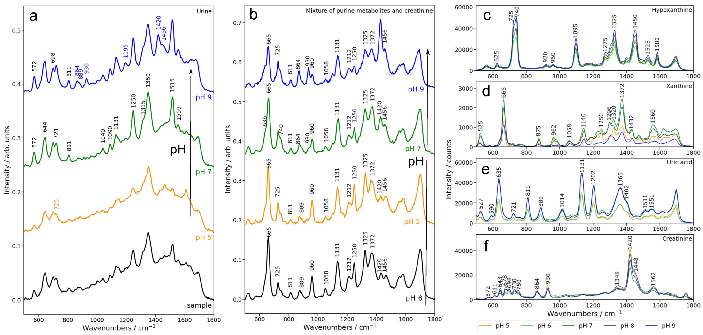 Biomedicines 13 00505 g001