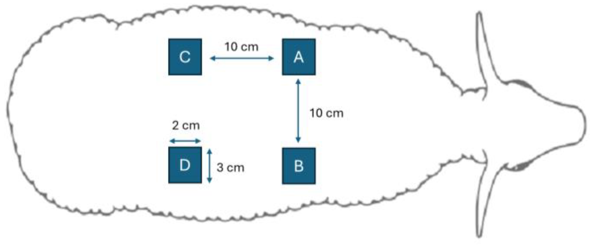 Biomedicines 13 00508 g002