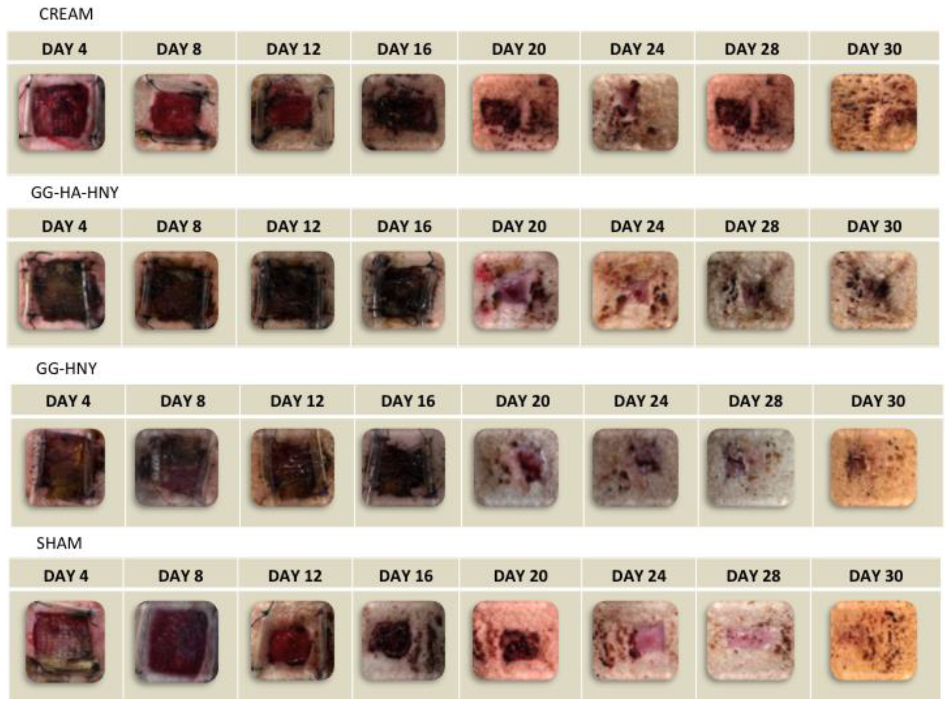 Biomedicines 13 00508 g007
