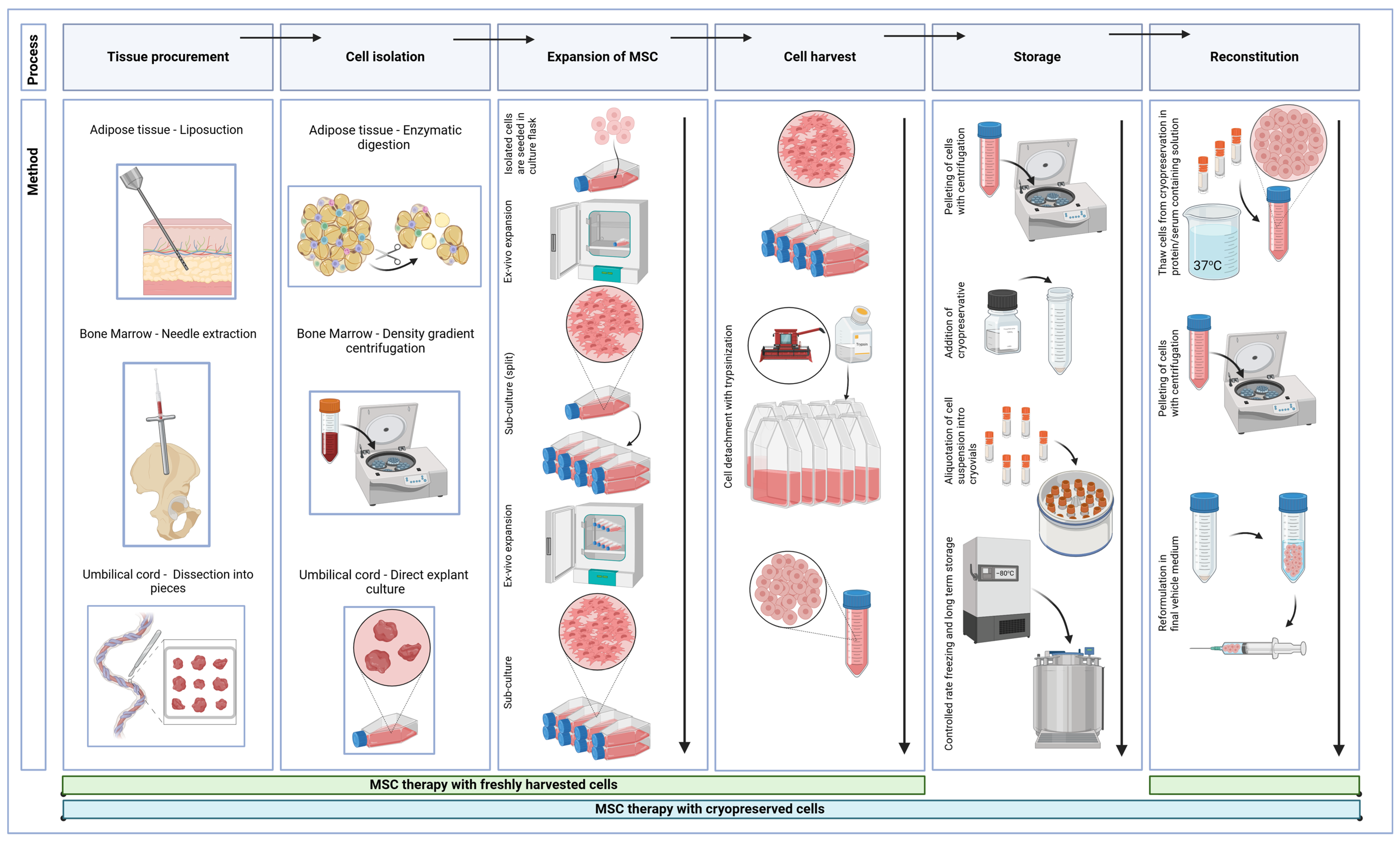 Biomedicines 13 00509 g001