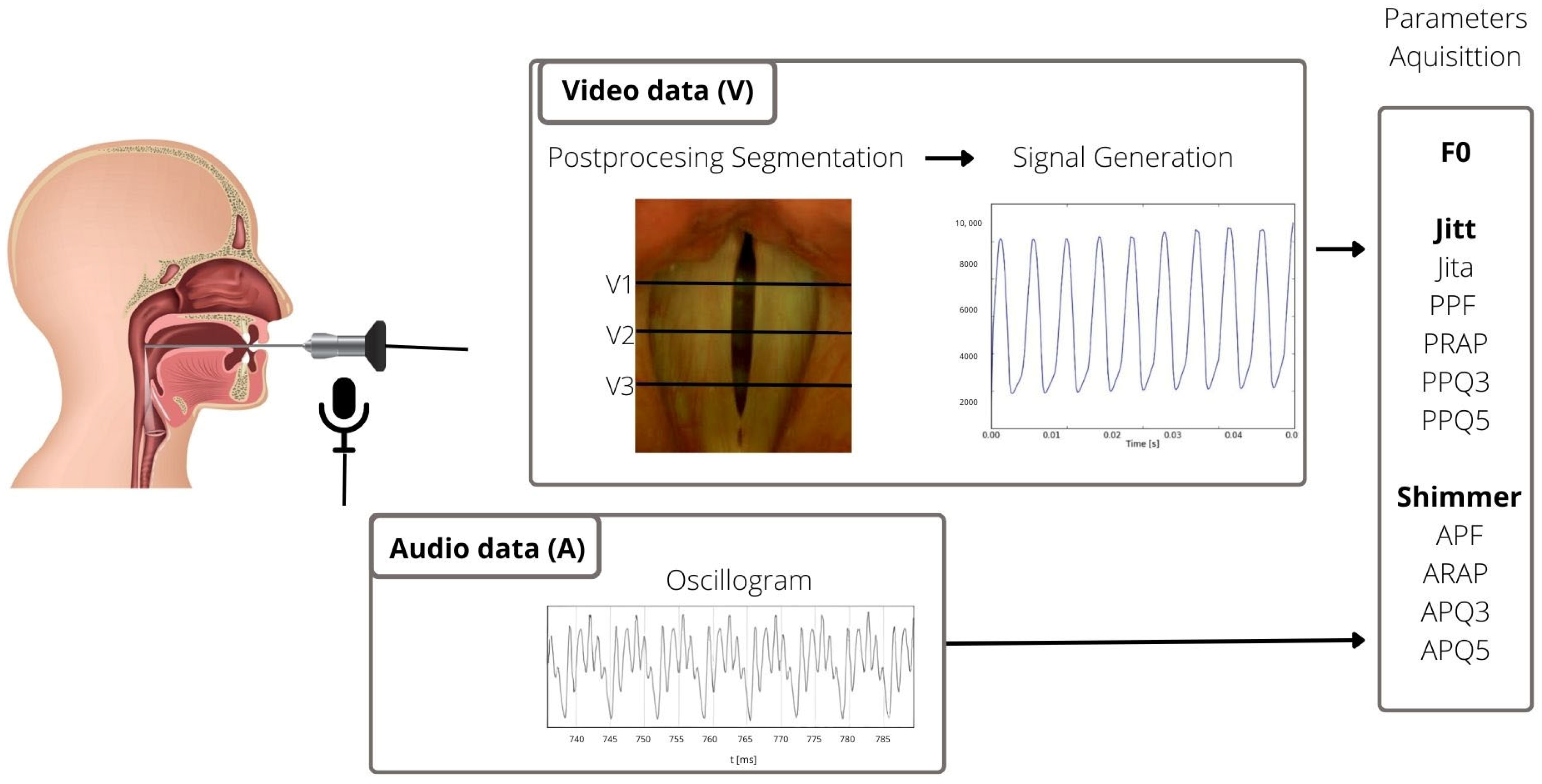 Biomedicines 13 00511 g001