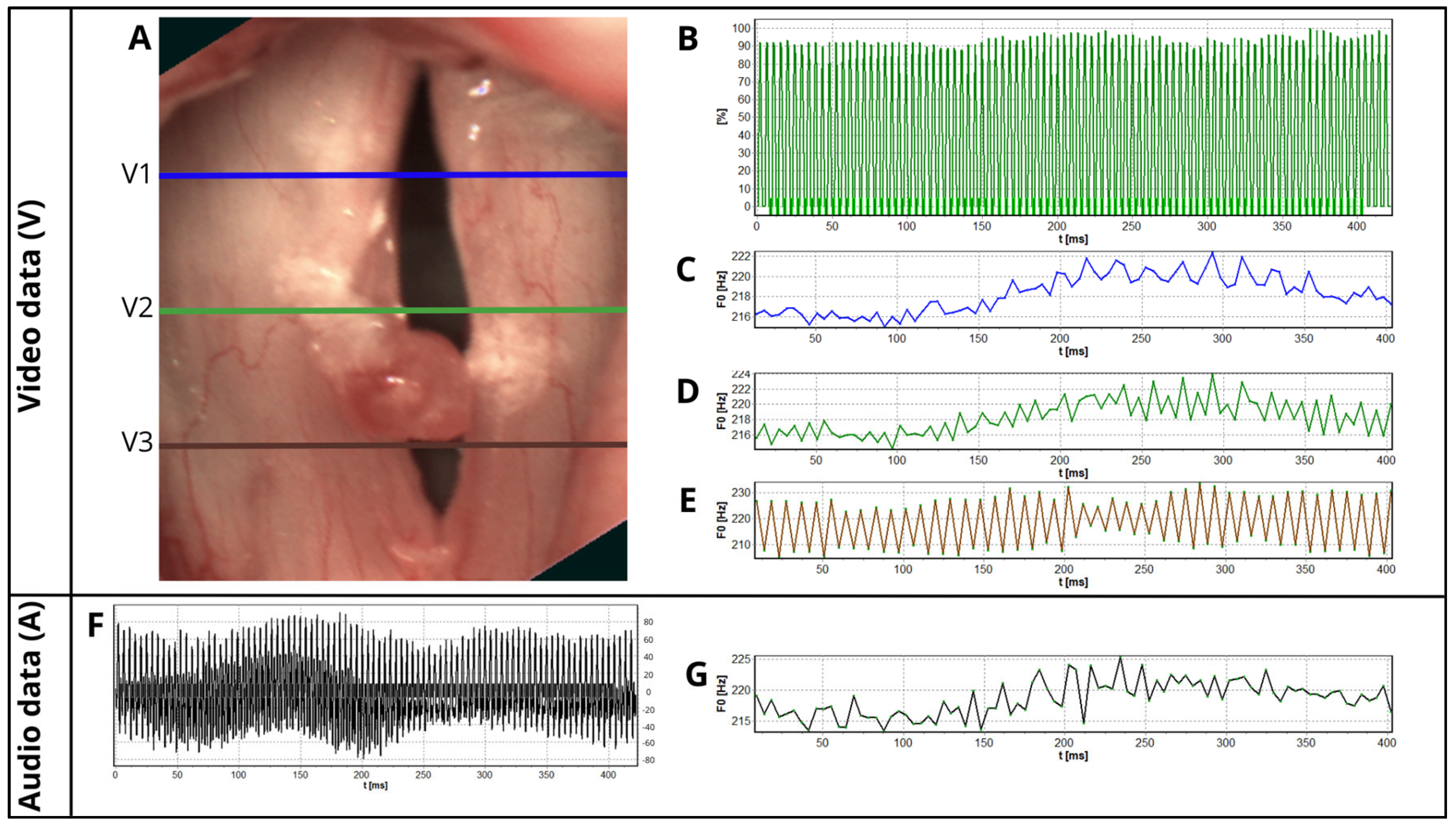 Biomedicines 13 00511 g002