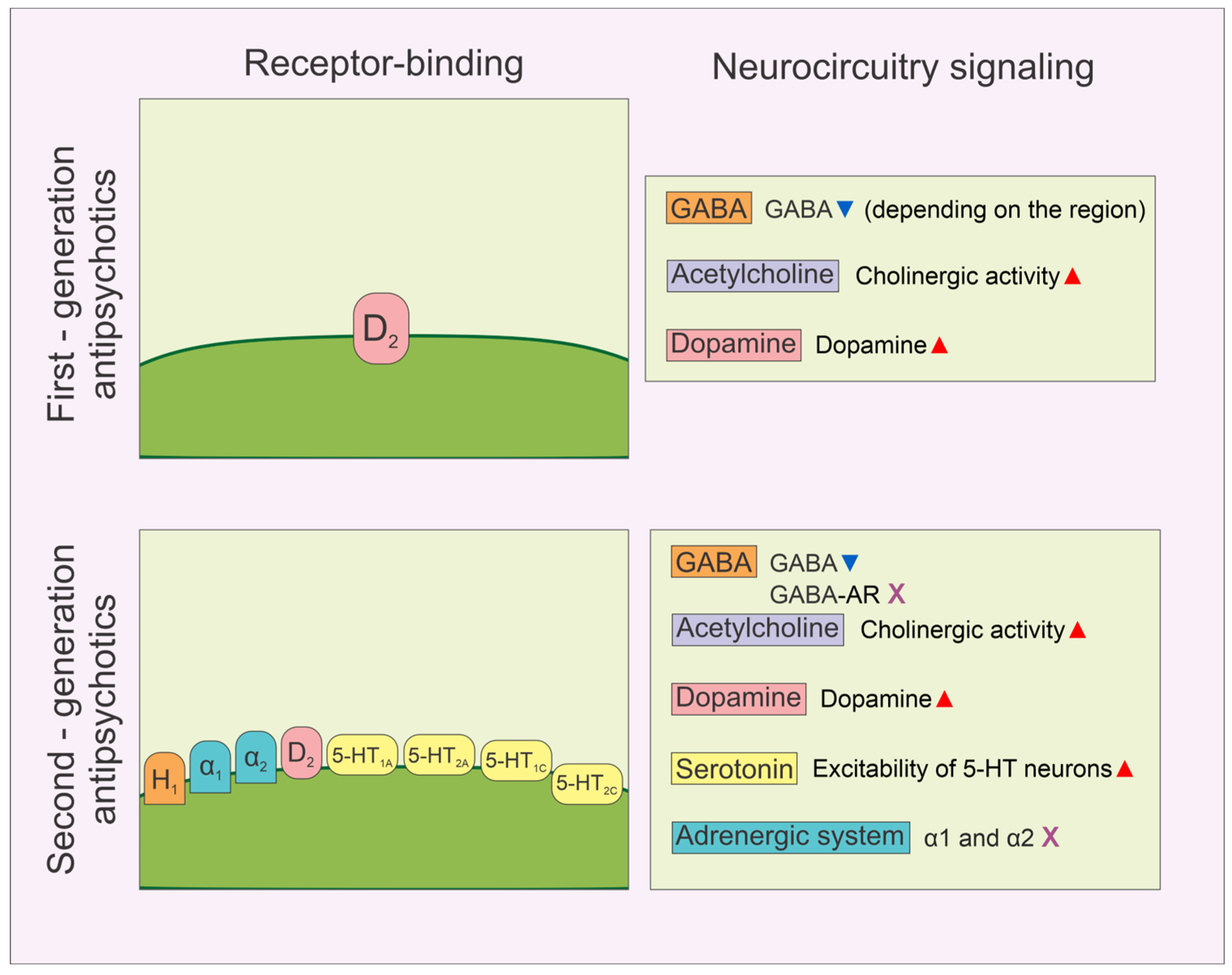 Biomedicines 13 00512 g001