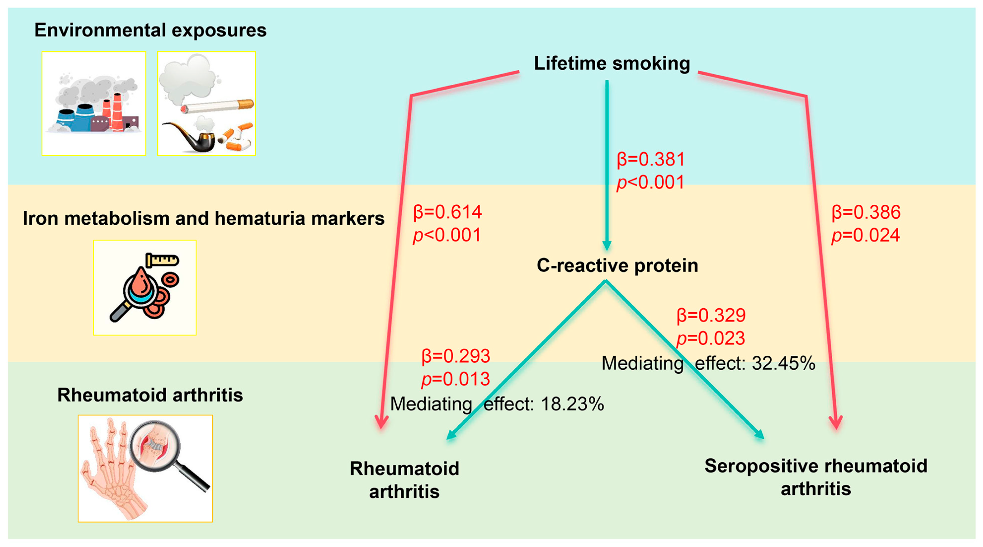 Biomedicines 13 00513 g005