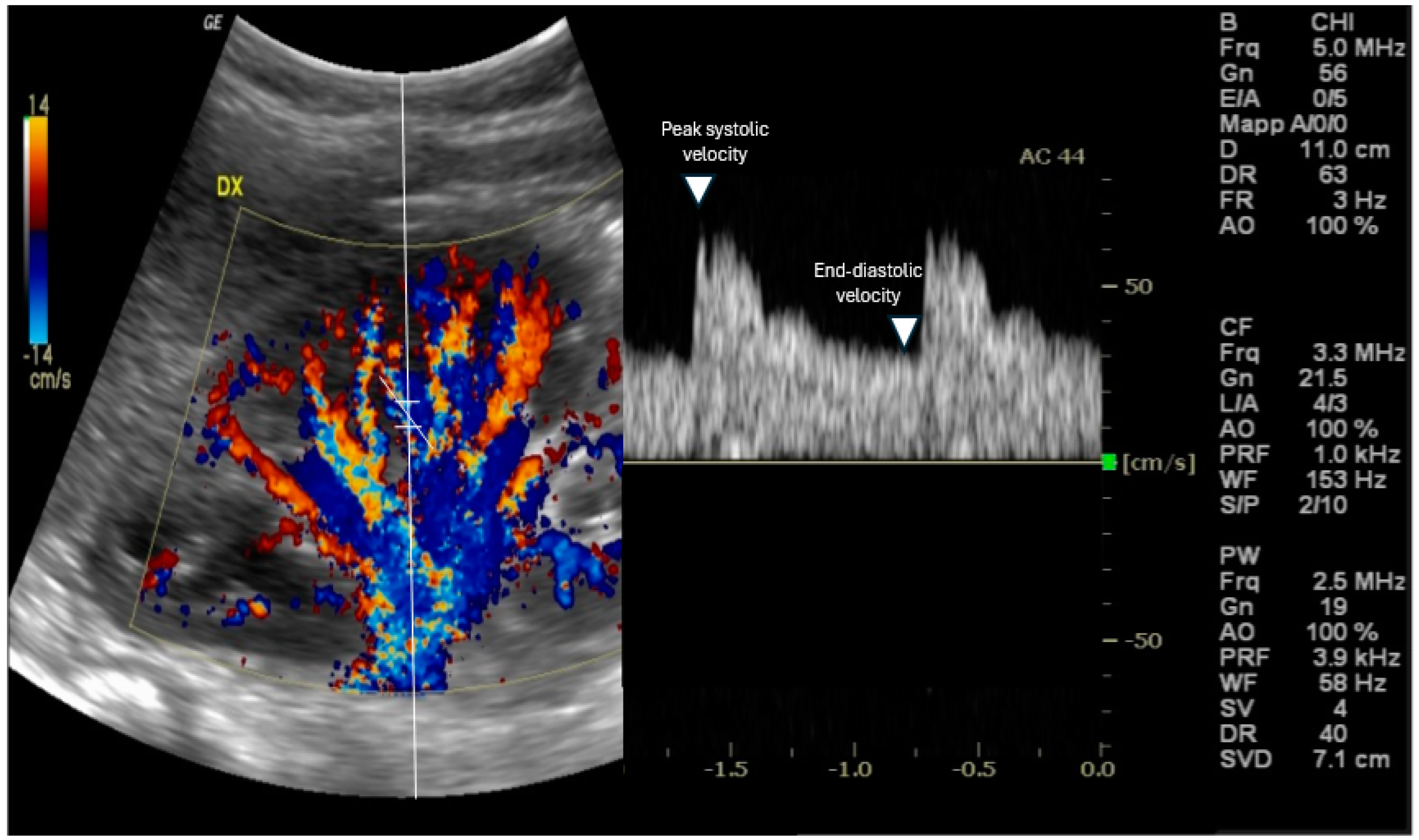 Biomedicines 13 00519 g001