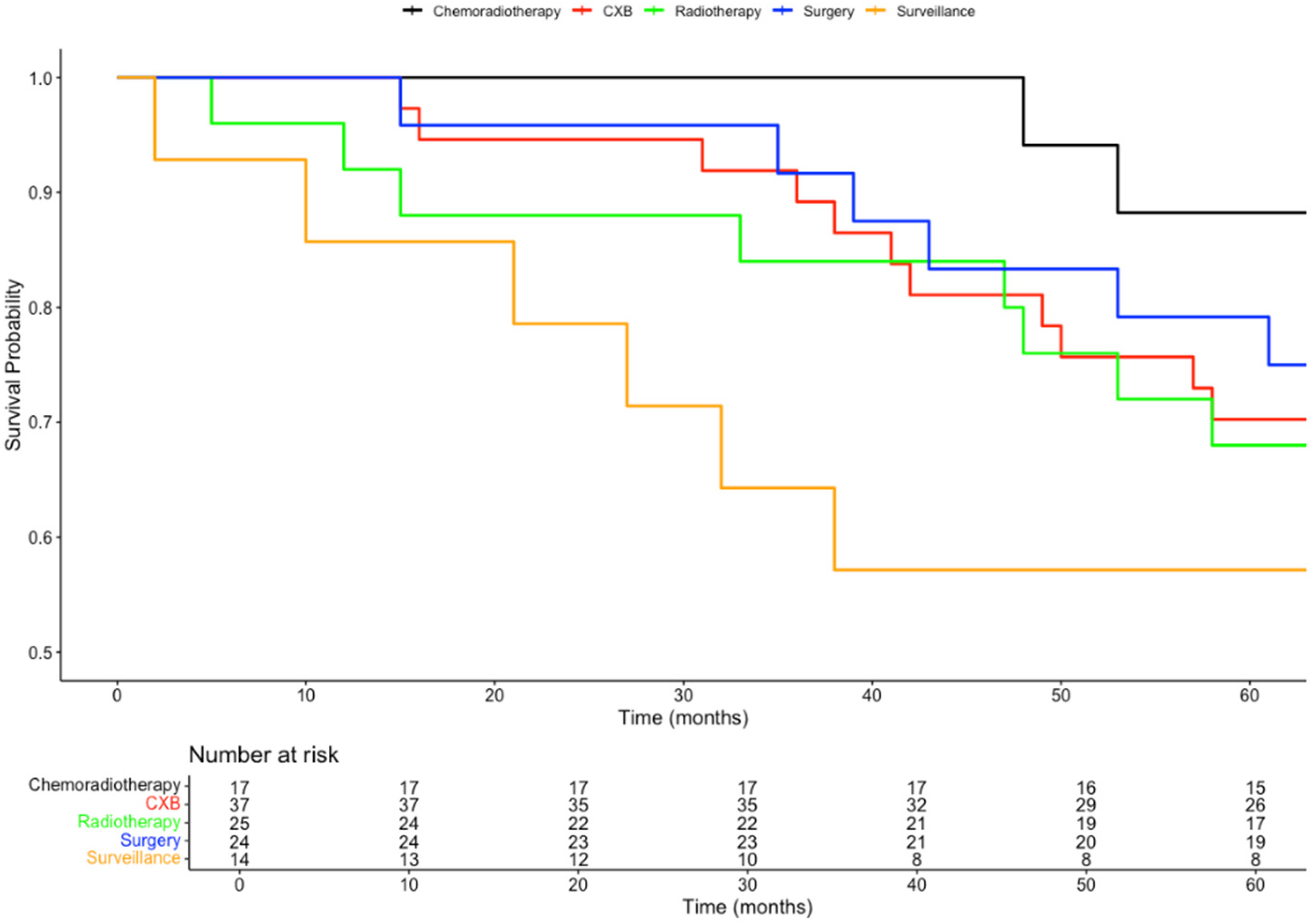 Biomedicines 13 00521 g001
