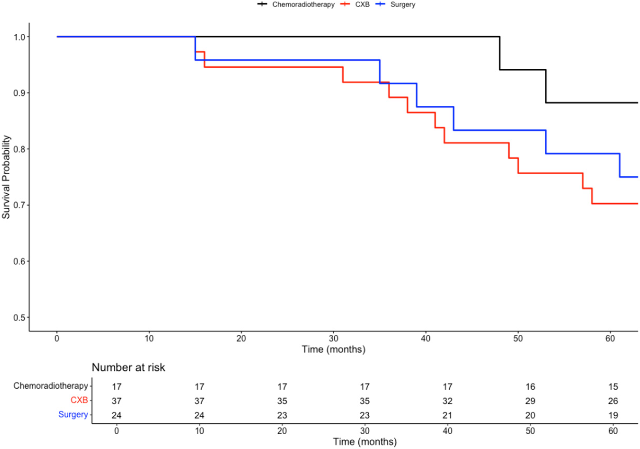 Biomedicines 13 00521 g003