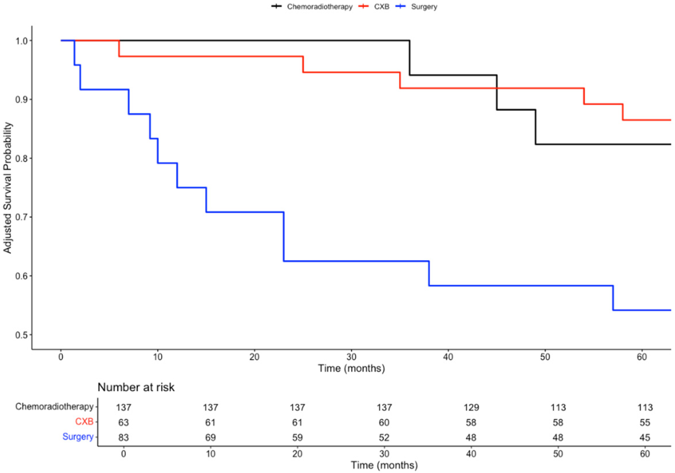Biomedicines 13 00521 g006