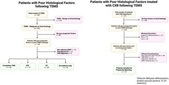 Biomedicines 13 00521 g0a1