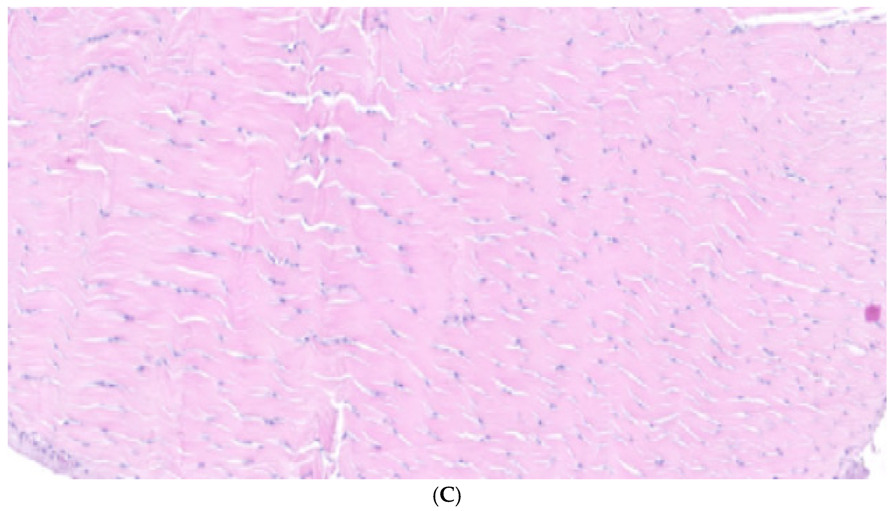 Biomedicines 13 00525 g004b