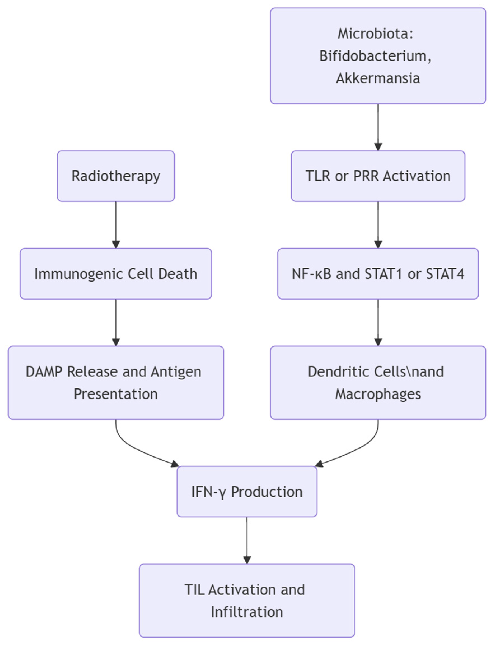 Biomedicines 13 00526 g001