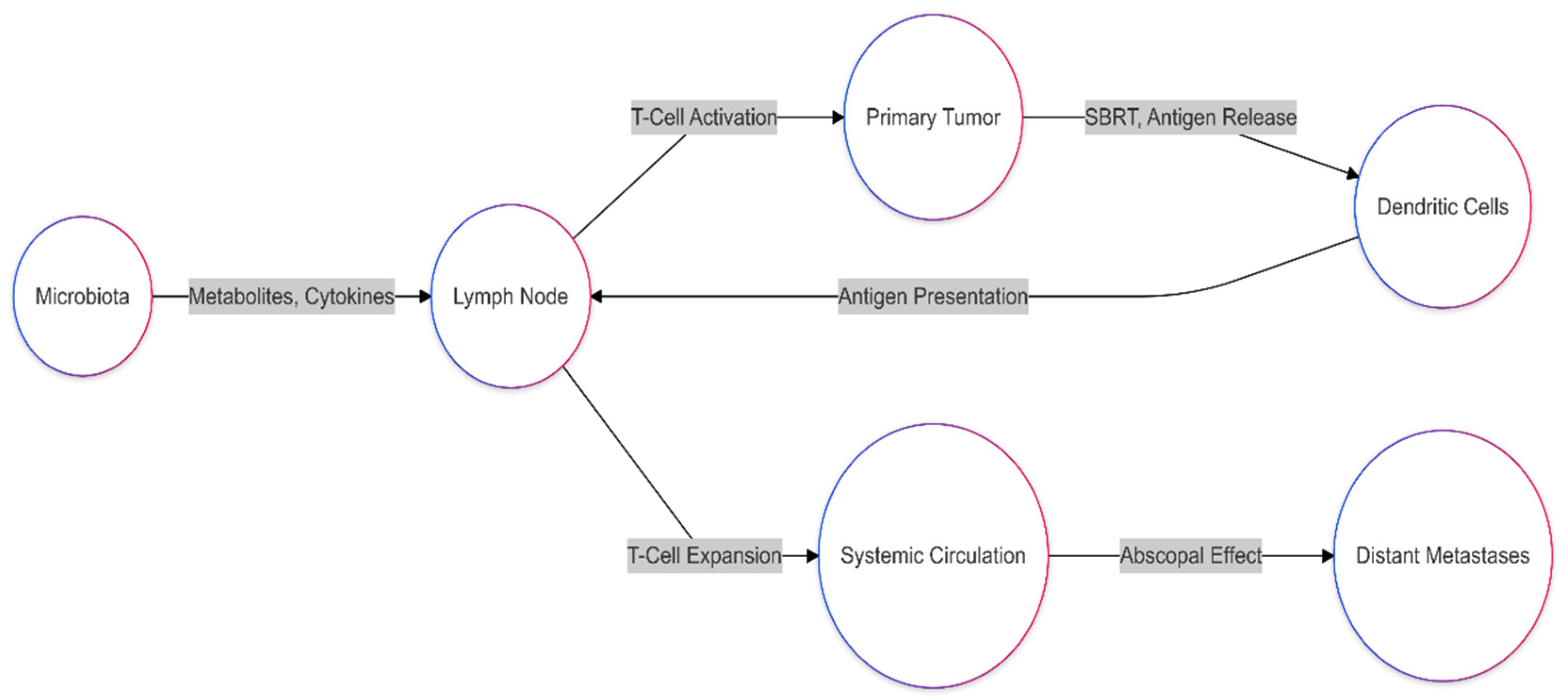 Biomedicines 13 00526 g005