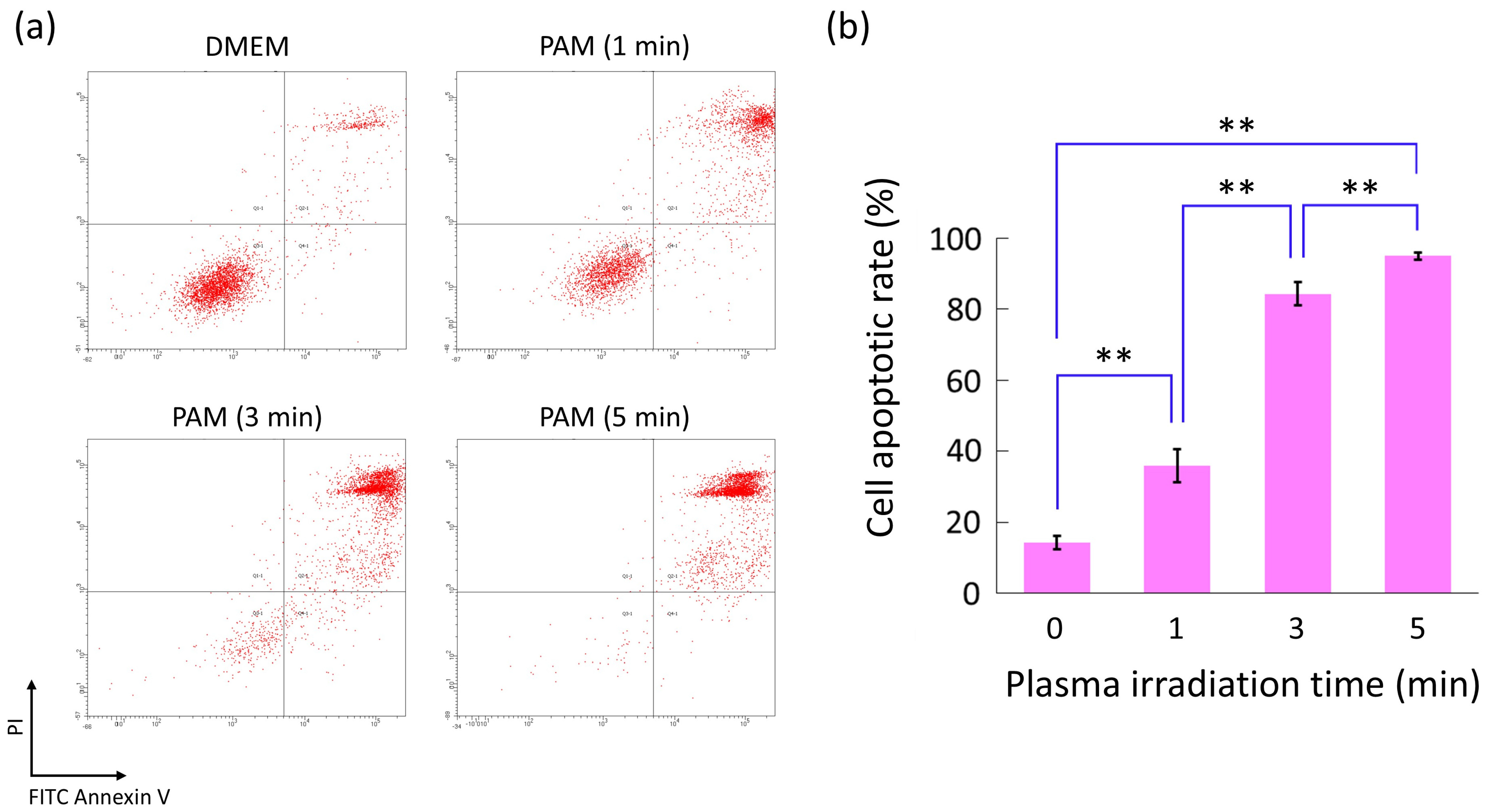 Biomedicines 13 00534 g005