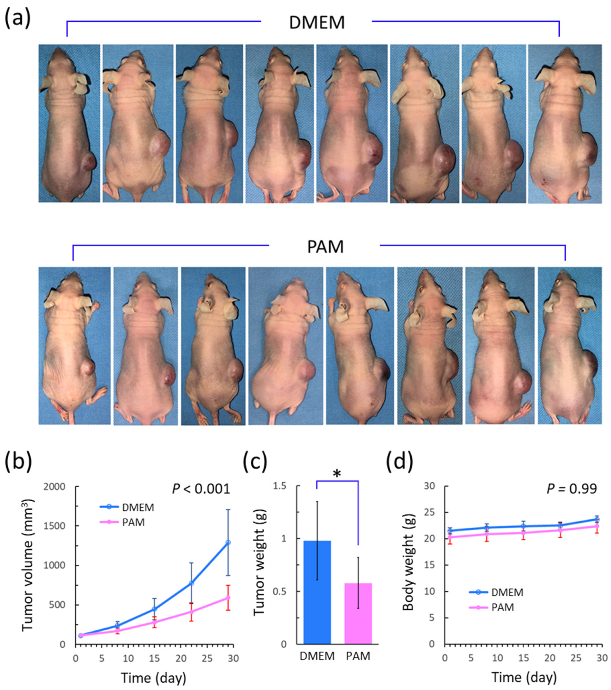 Biomedicines 13 00534 g006