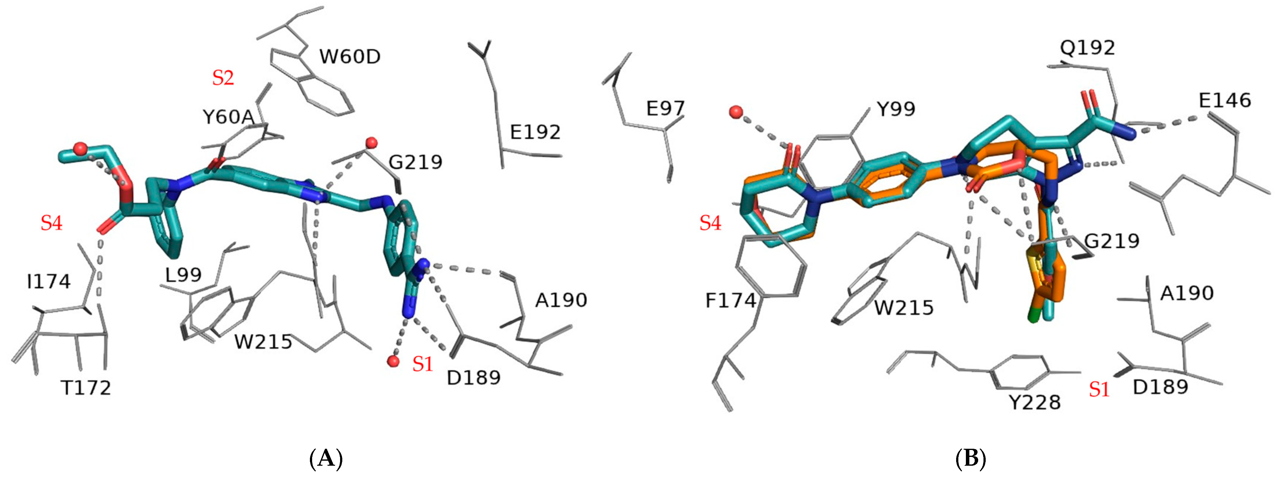 Biomedicines 13 00535 g002