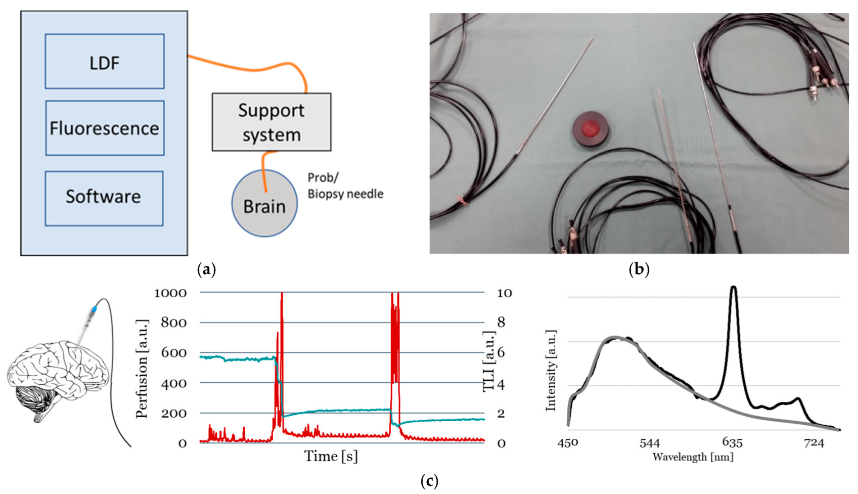 Biomedicines 13 00537 g001
