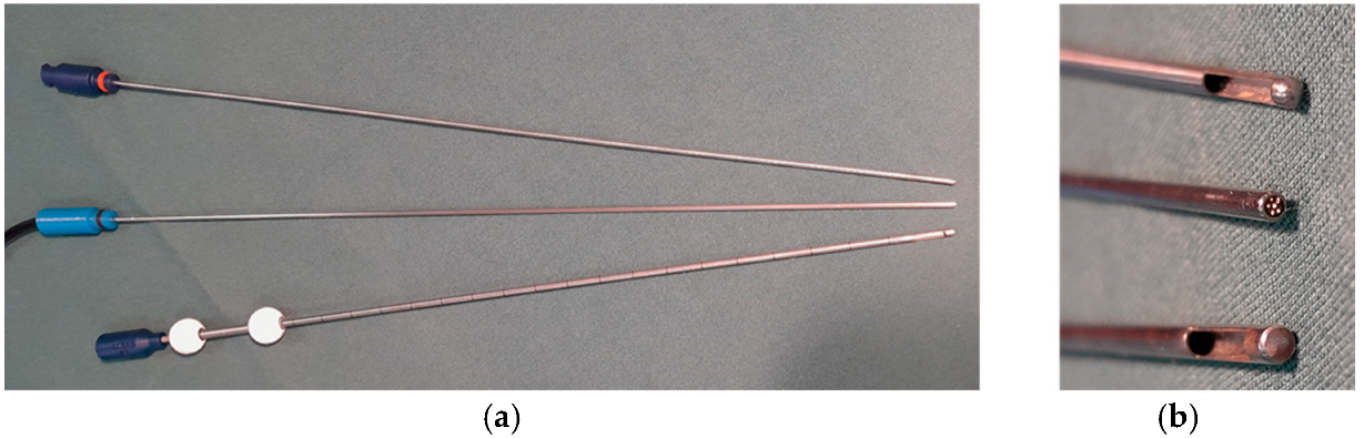Biomedicines 13 00537 g002