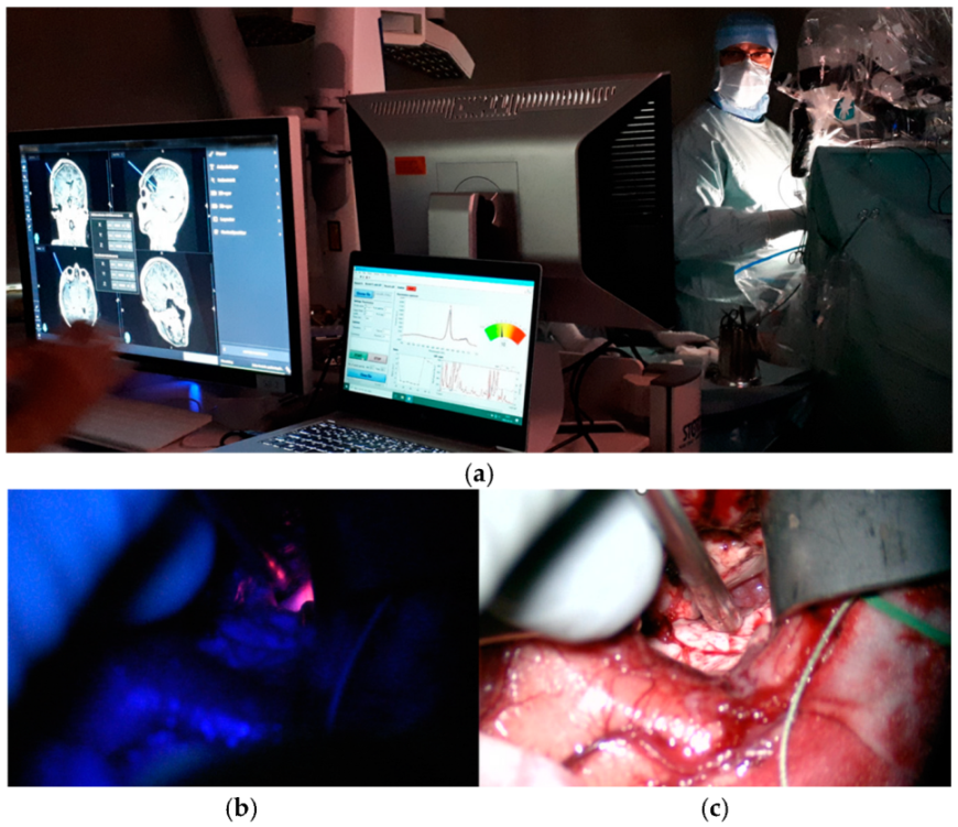 Biomedicines 13 00537 g005
