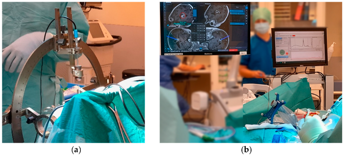 Biomedicines 13 00537 g006