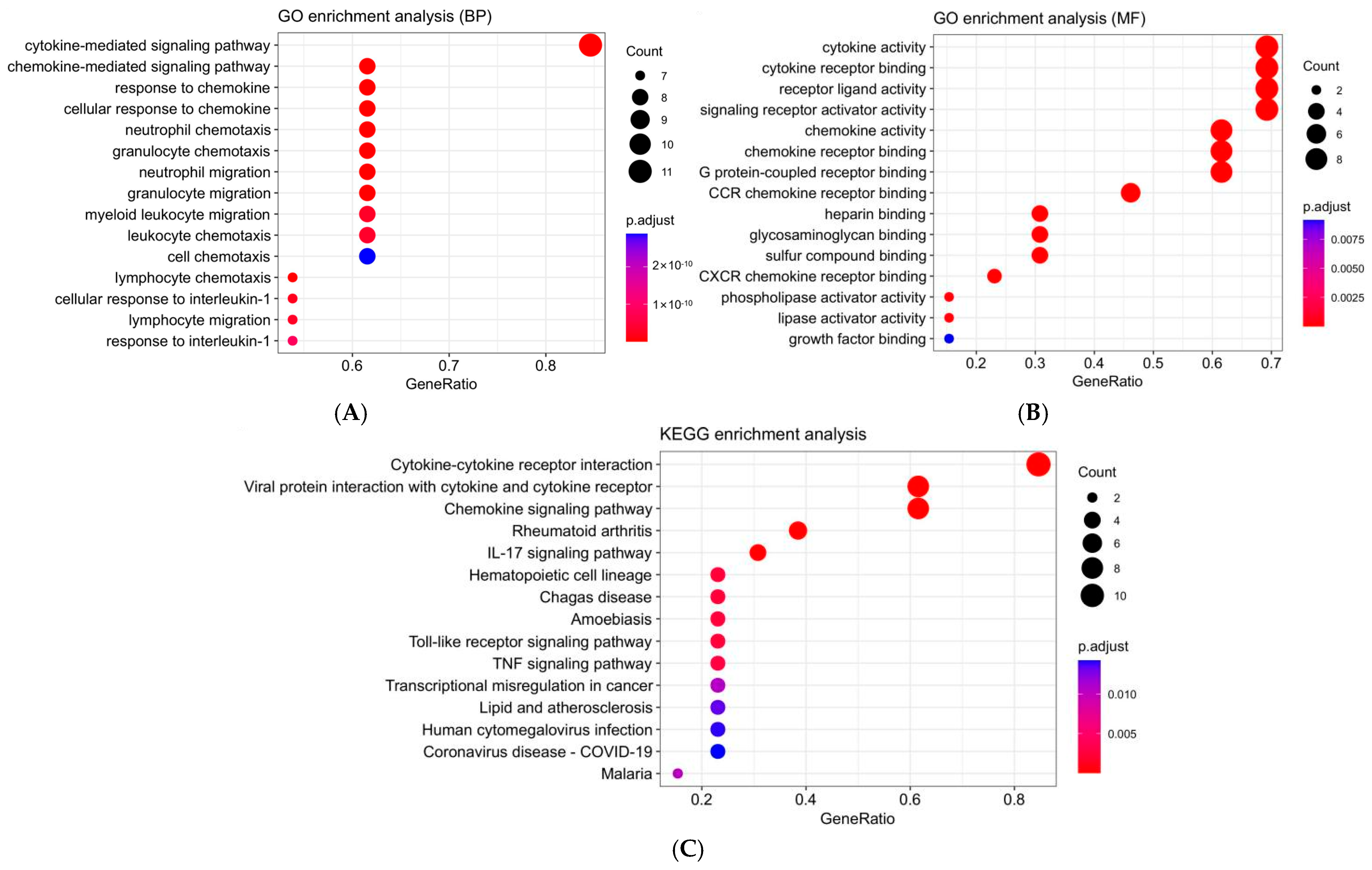 Biomedicines 13 00539 g004