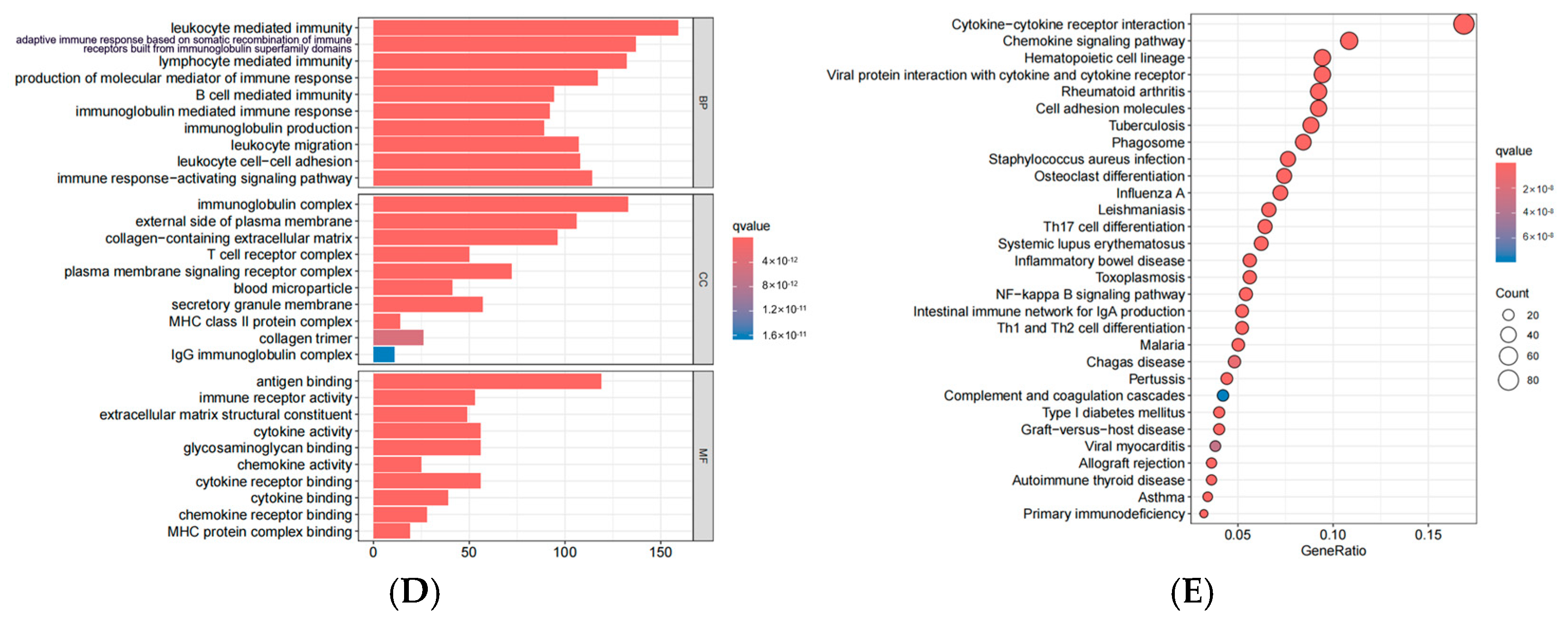 Biomedicines 13 00539 g007b
