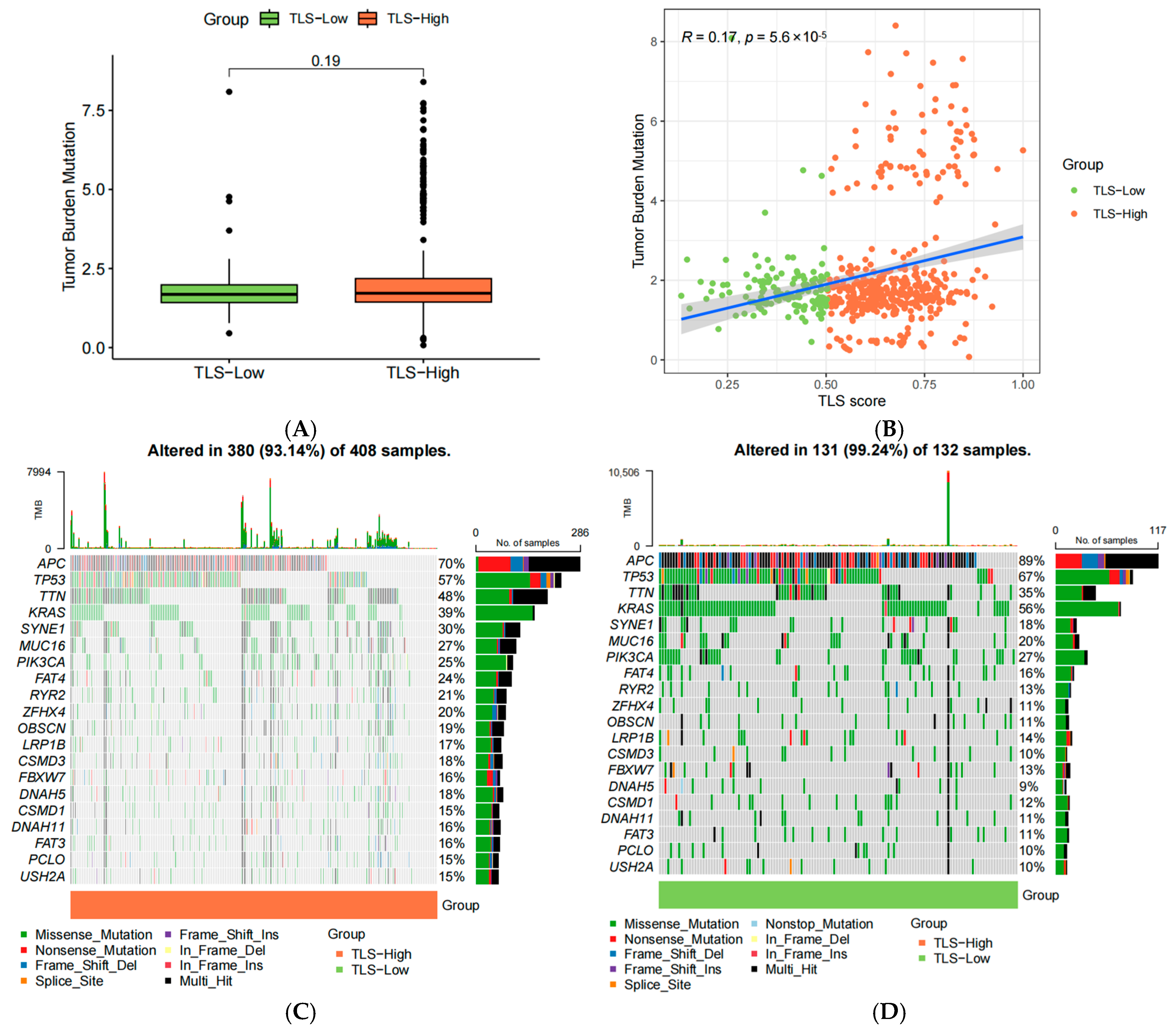 Biomedicines 13 00539 g010
