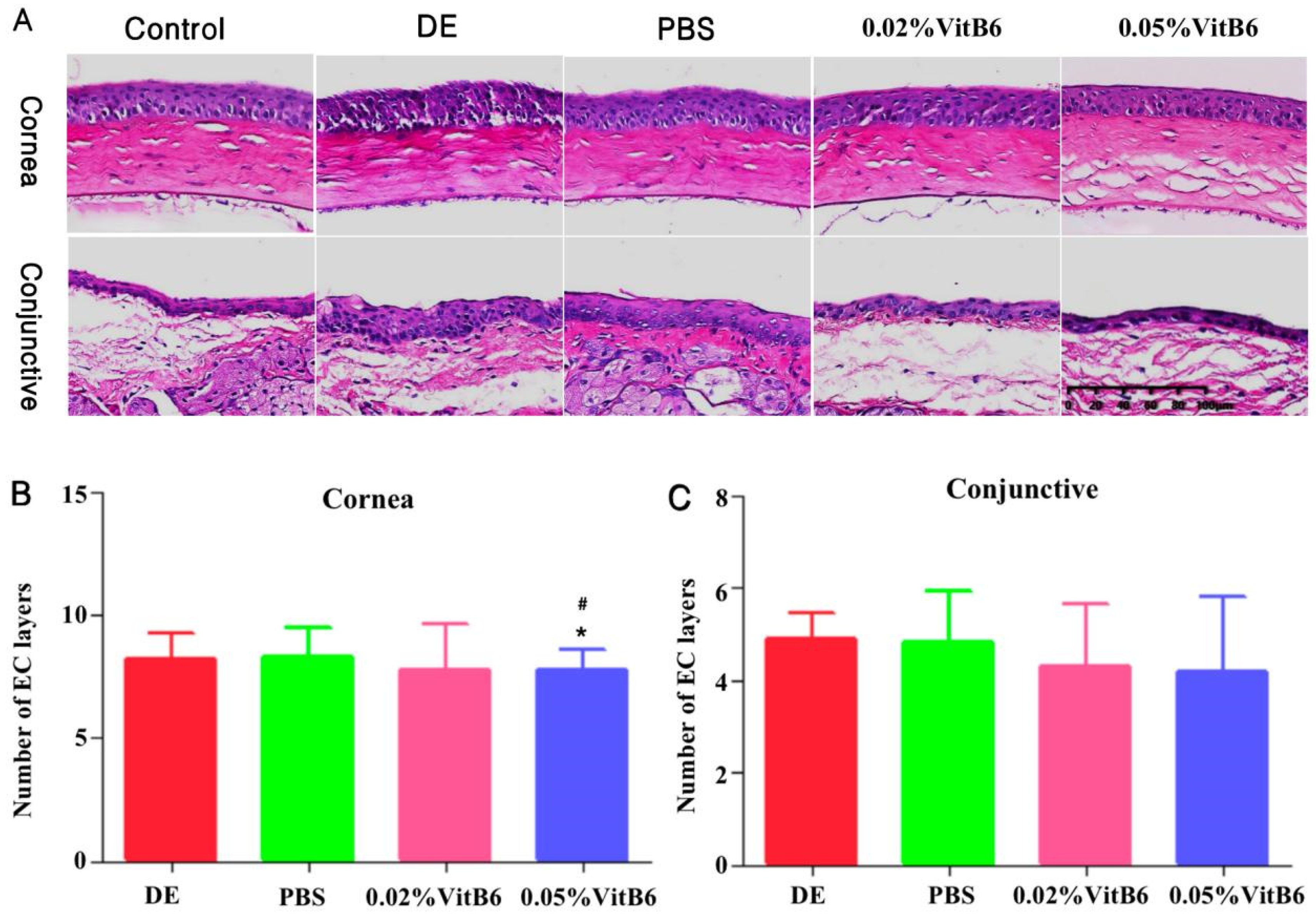 Biomedicines 13 00541 g004