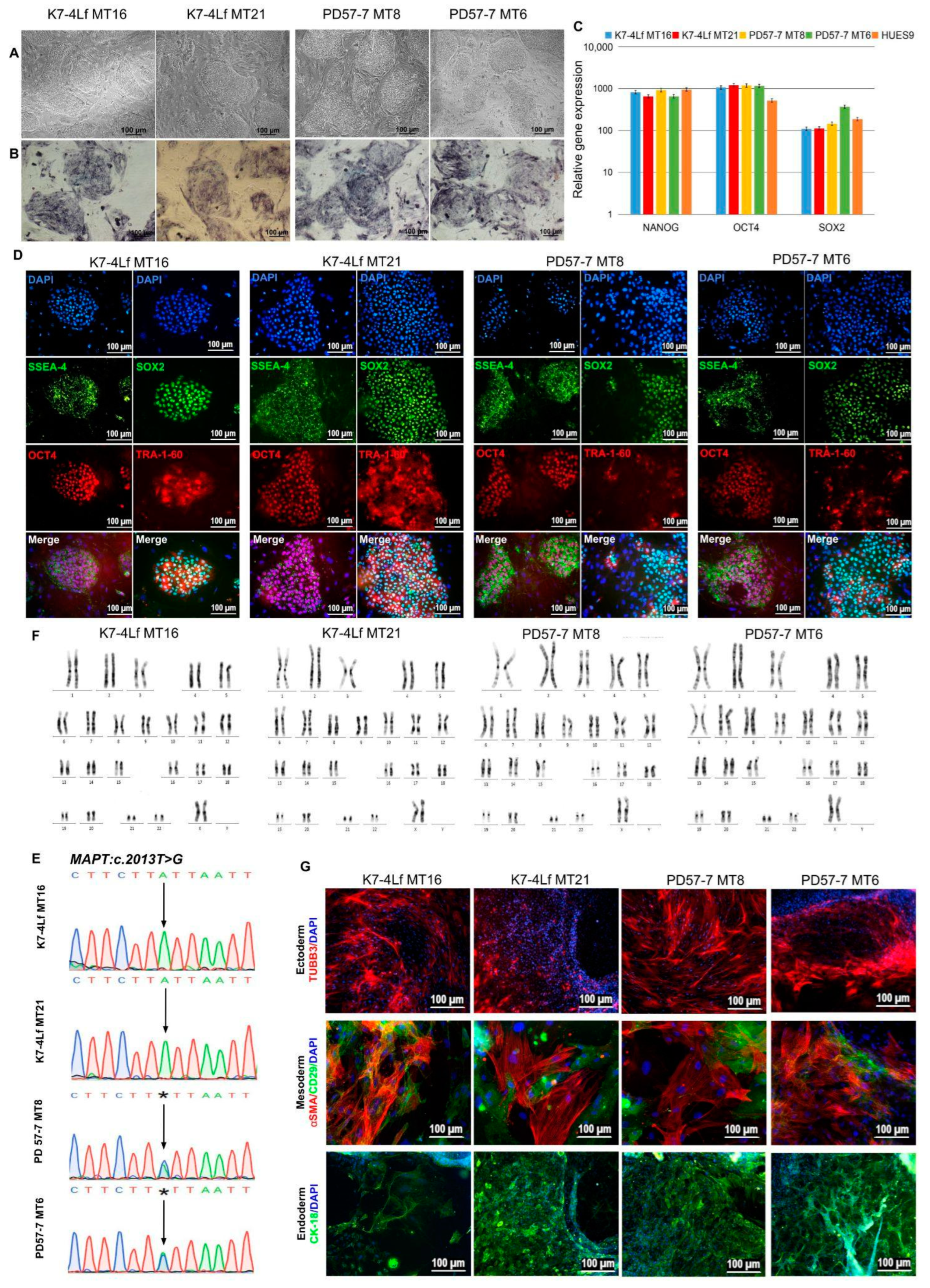 Biomedicines 13 00550 g003